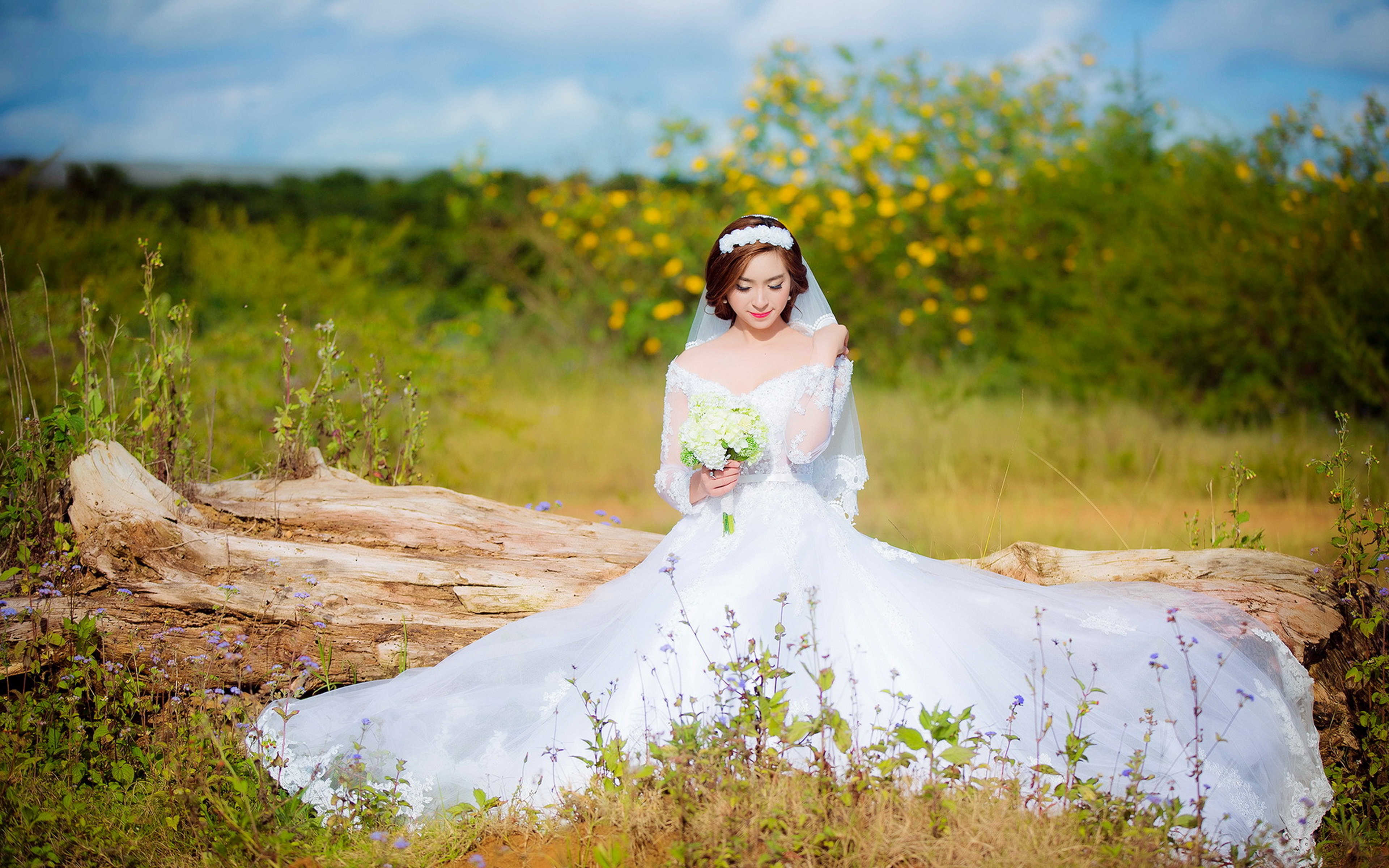 Laden Sie das Braut, Frauen-Bild kostenlos auf Ihren PC-Desktop herunter