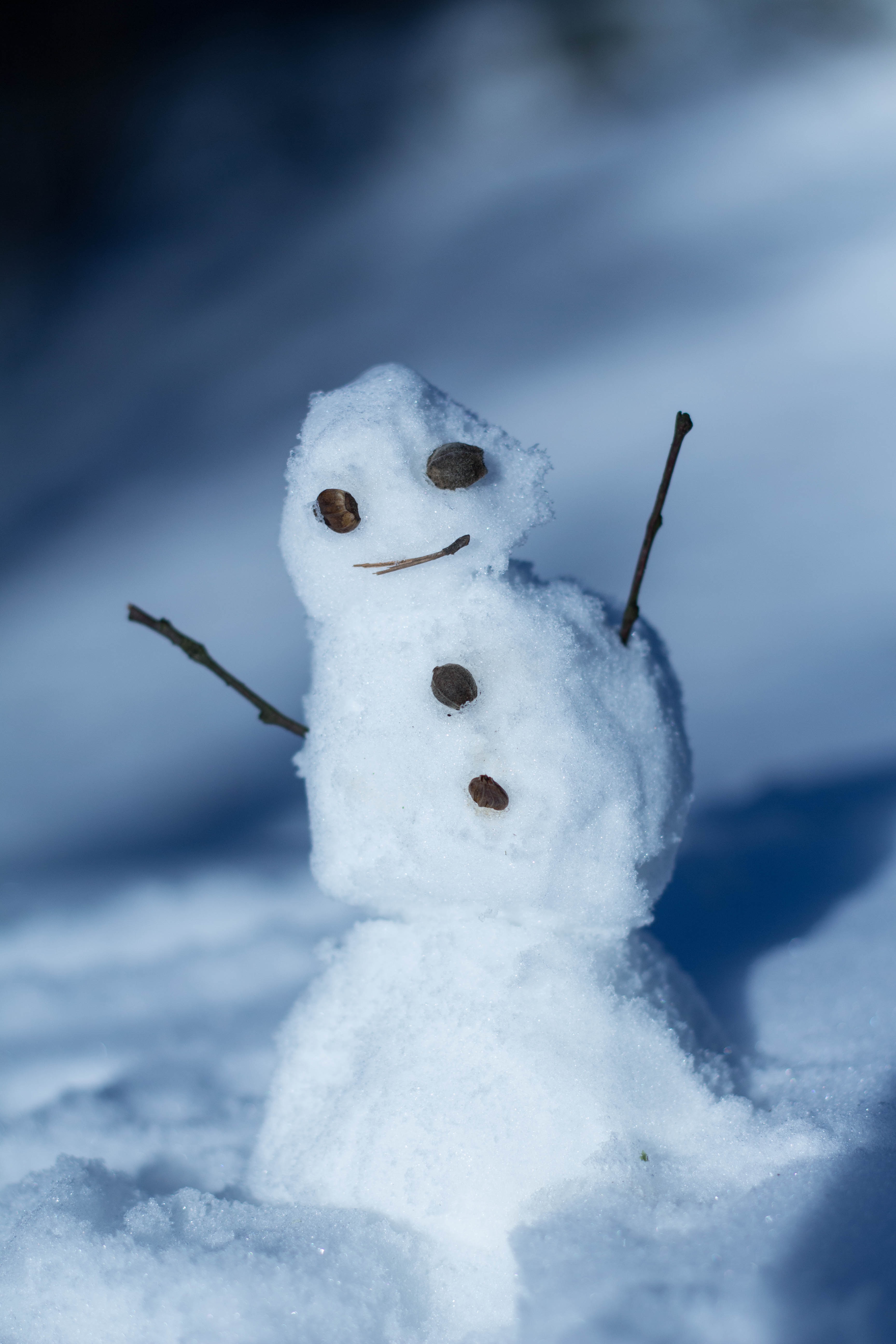Скачать картинку Снеговик, Снег, Зима, Разное в телефон бесплатно.