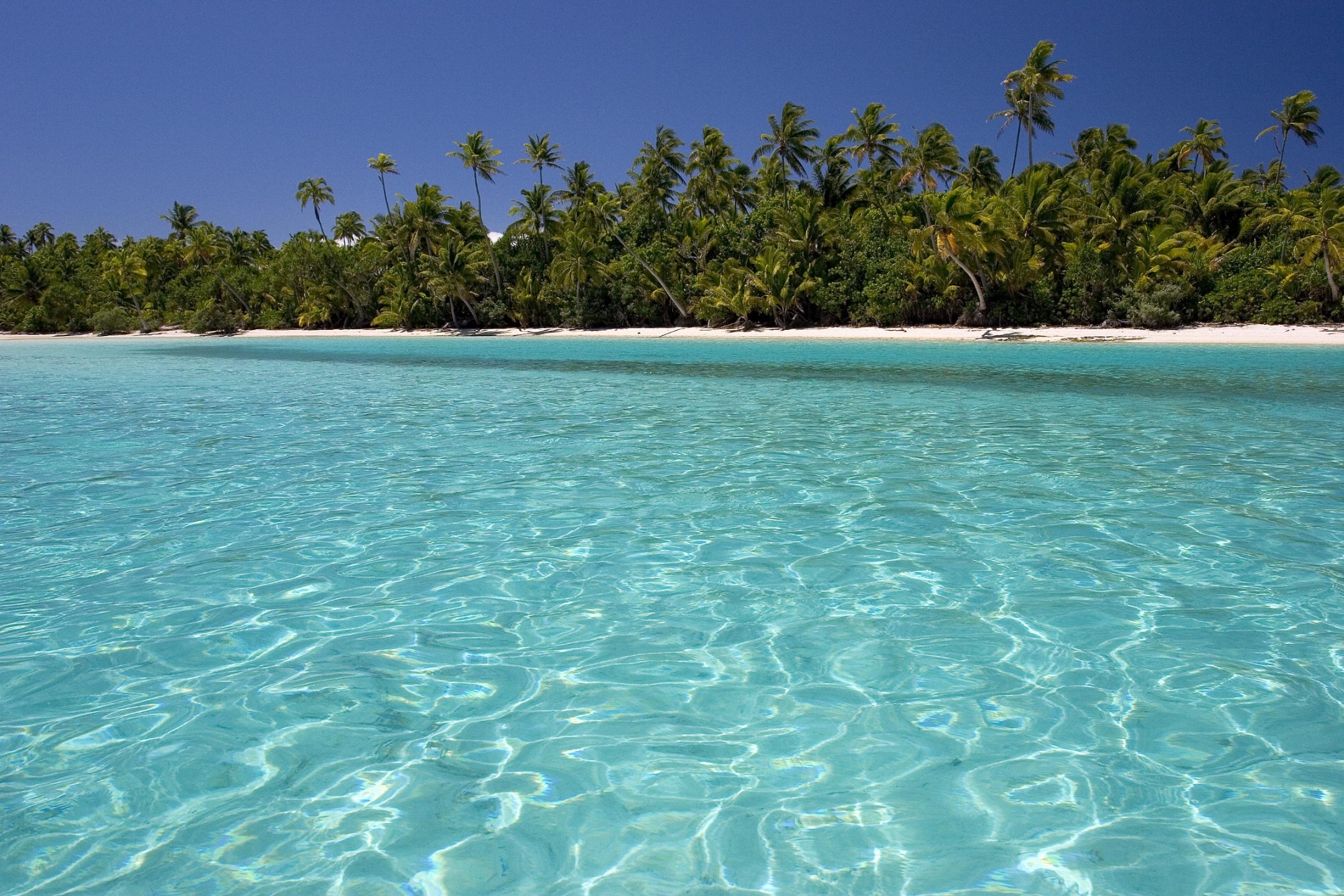 Download mobile wallpaper Water, Beach, Ocean, Earth, Tropics for free.