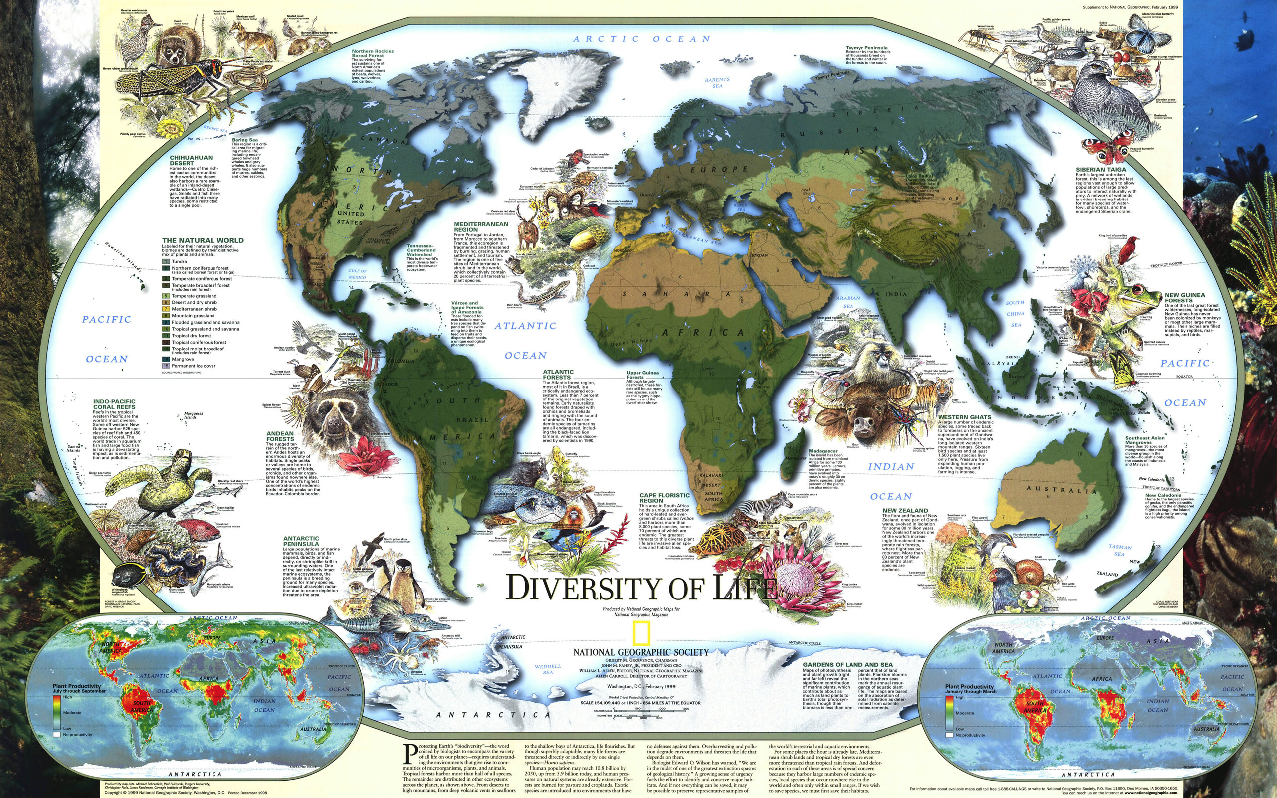 無料モバイル壁紙世界地図, その他をダウンロードします。