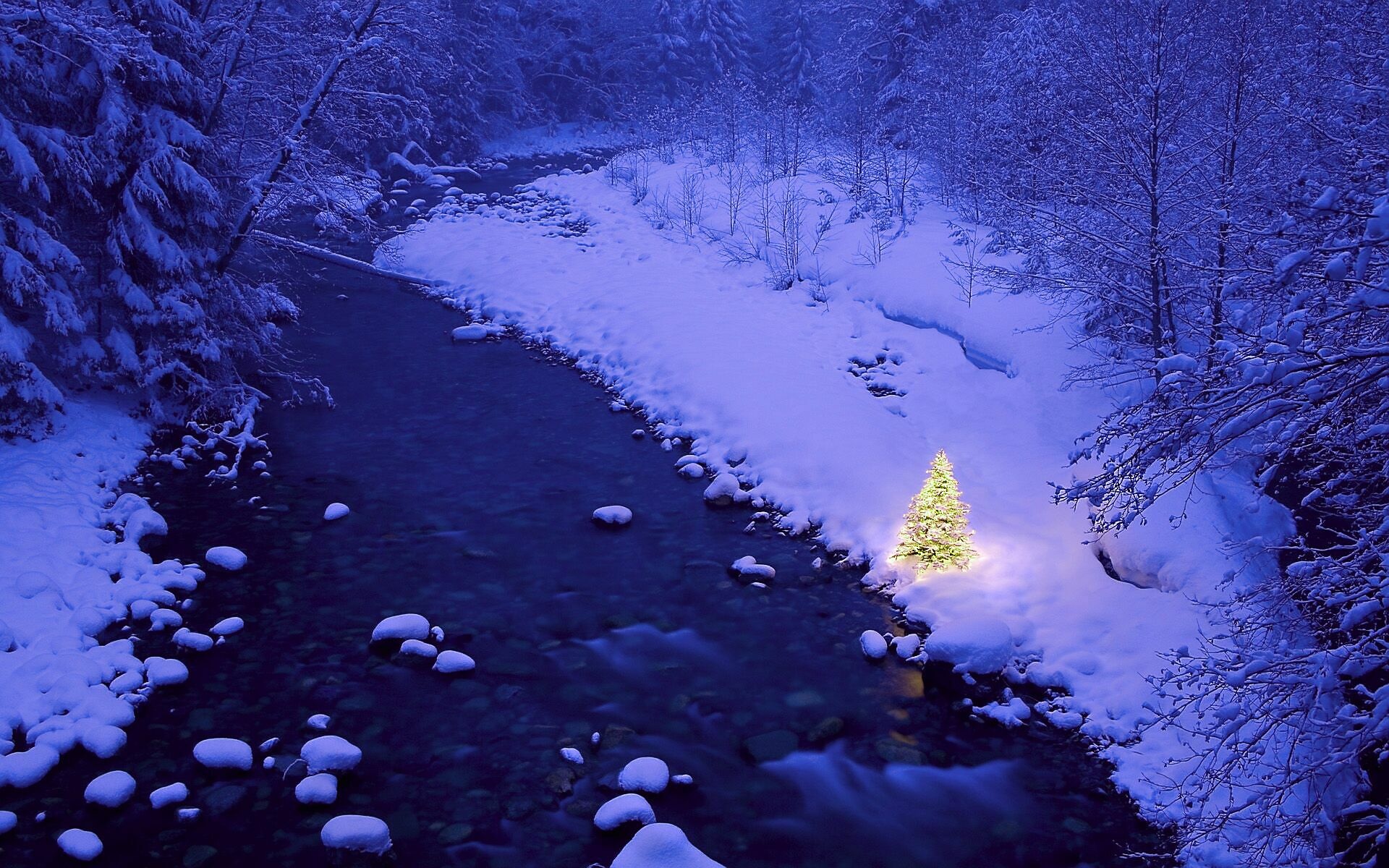 Скачать картинку Зима, Река, Снег, Рождество, Рождественская Елка, Праздничные в телефон бесплатно.