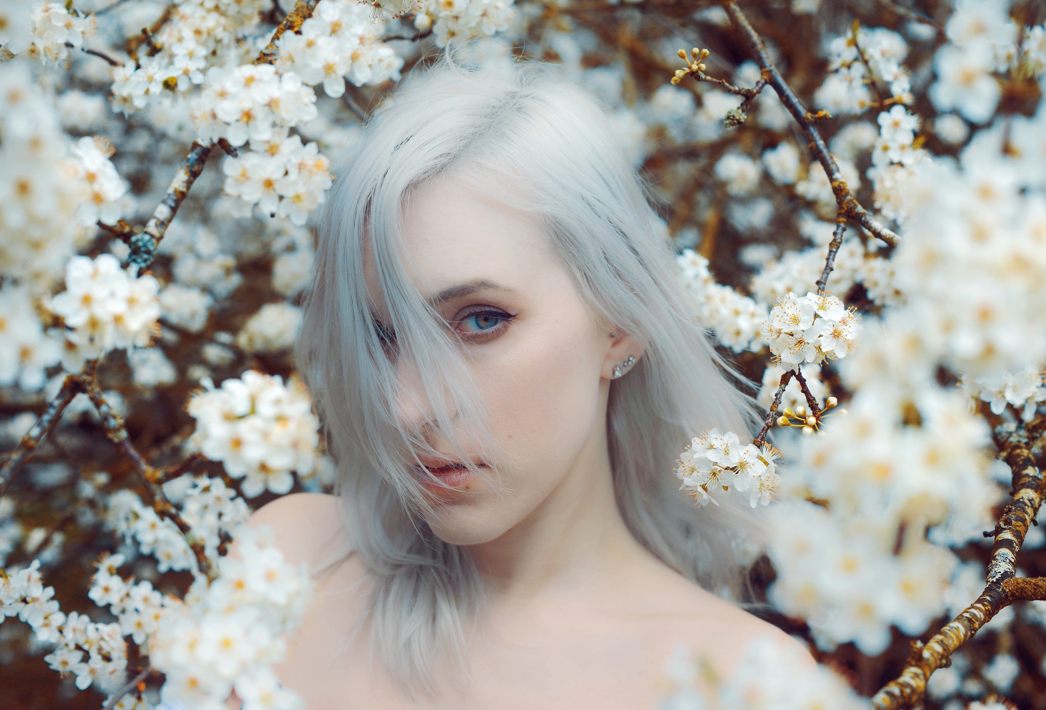 Free download wallpaper Flower, Spring, Face, Model, Women, White Flower, Blossom, White Hair on your PC desktop