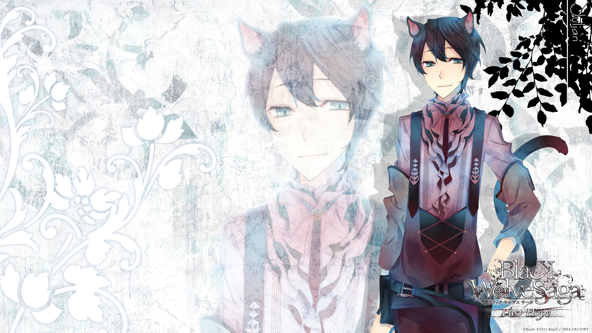 anime, black wolves saga Aesthetic wallpaper