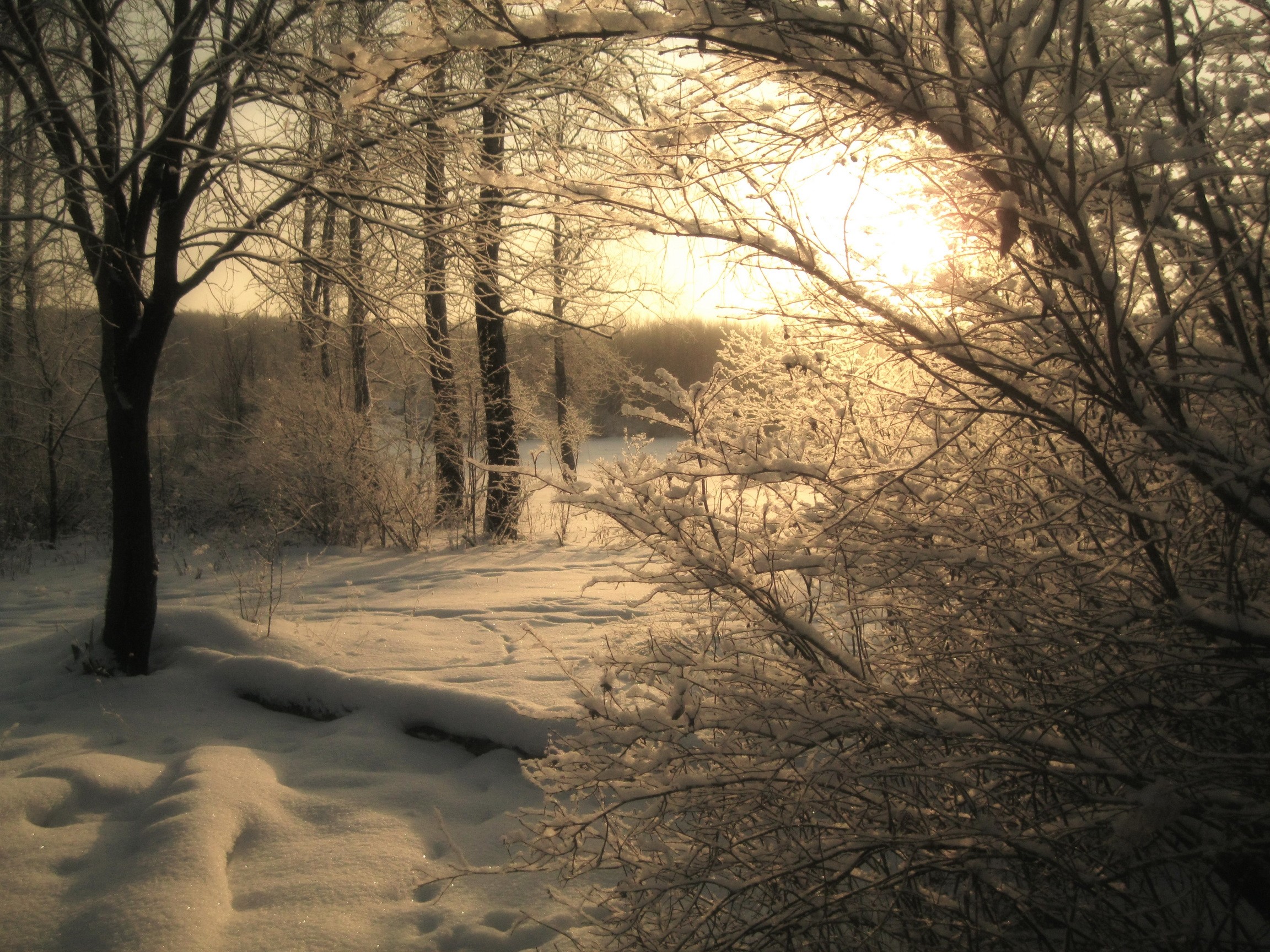 Handy-Wallpaper Winter, Erde/natur kostenlos herunterladen.