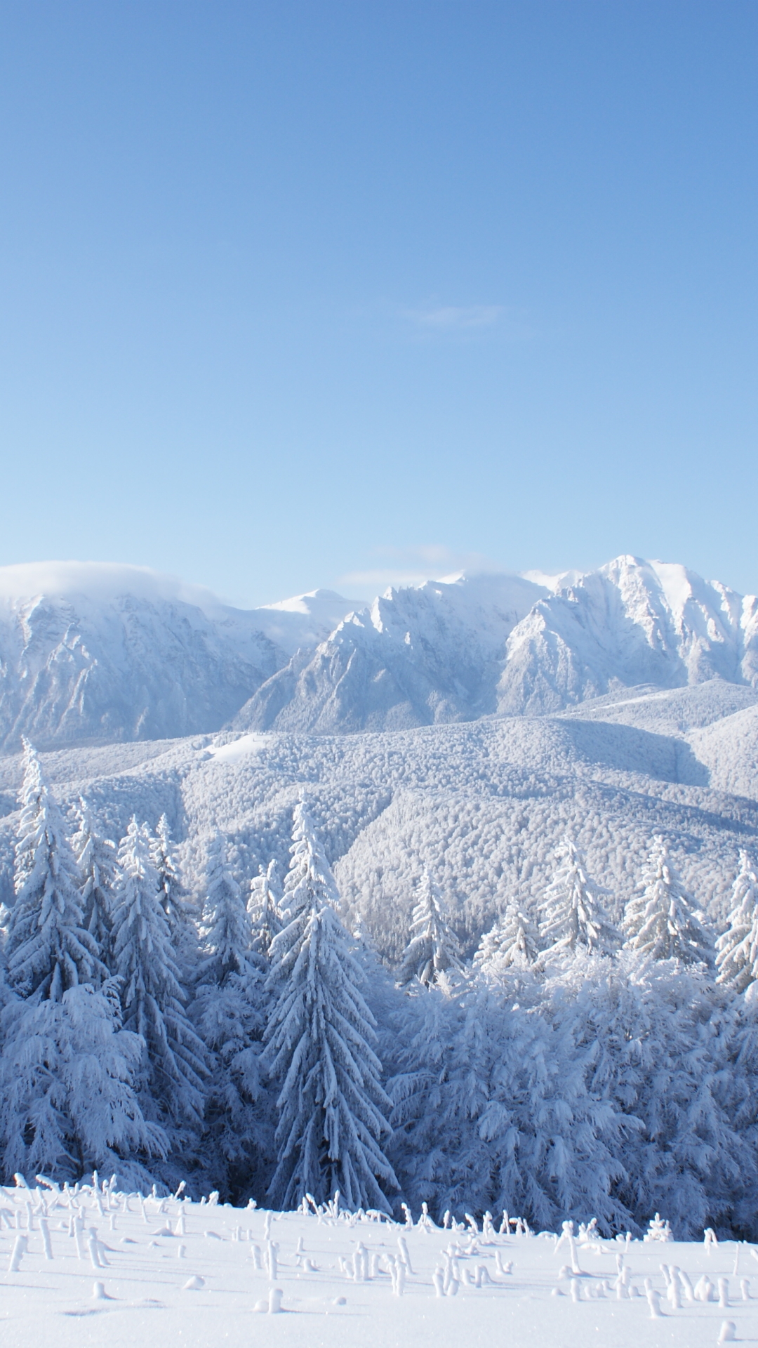 Descarga gratuita de fondo de pantalla para móvil de Invierno, Tierra/naturaleza.