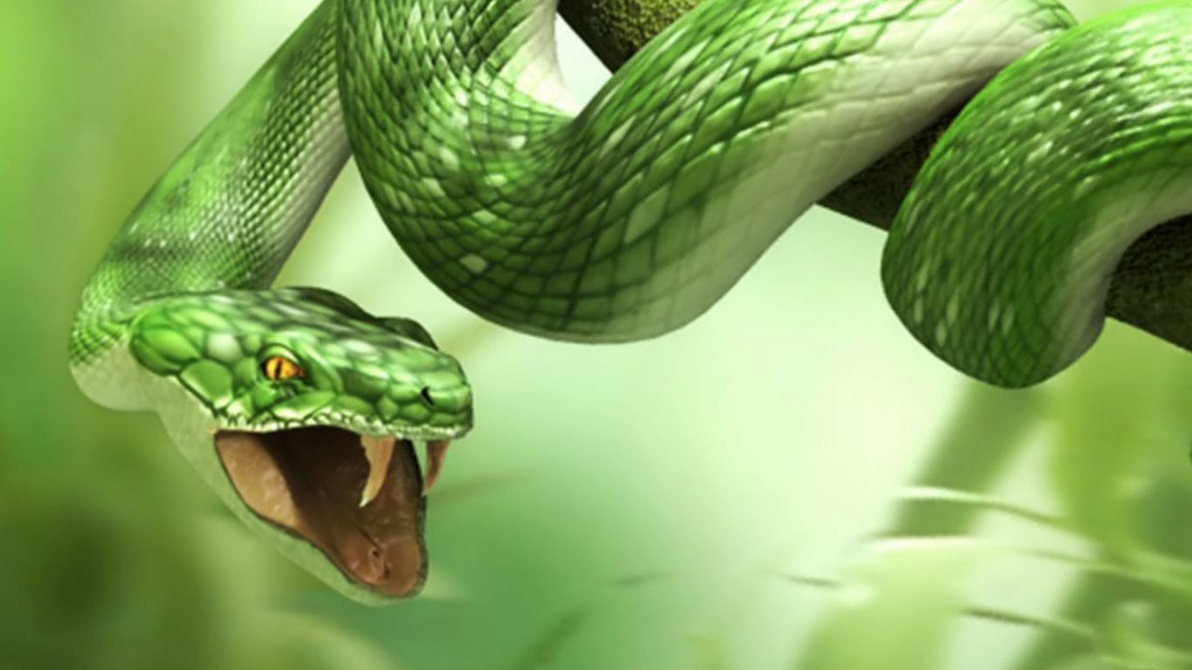 Descarga gratuita de fondo de pantalla para móvil de Animales, Serpiente.