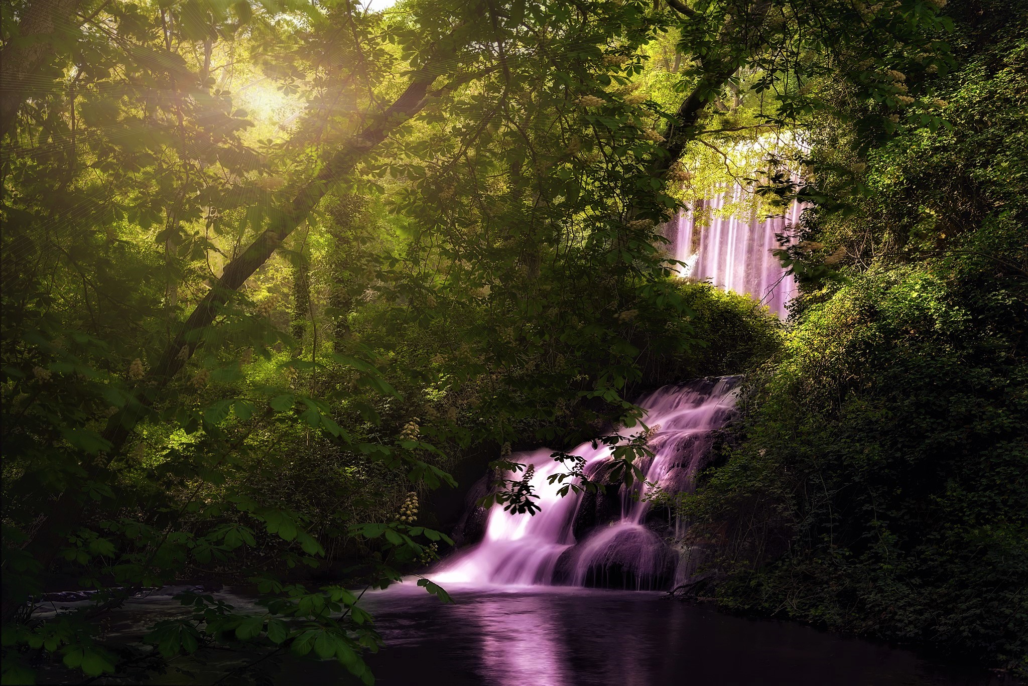 Laden Sie das Wasserfälle, Wasserfall, Wald, Erde/natur-Bild kostenlos auf Ihren PC-Desktop herunter