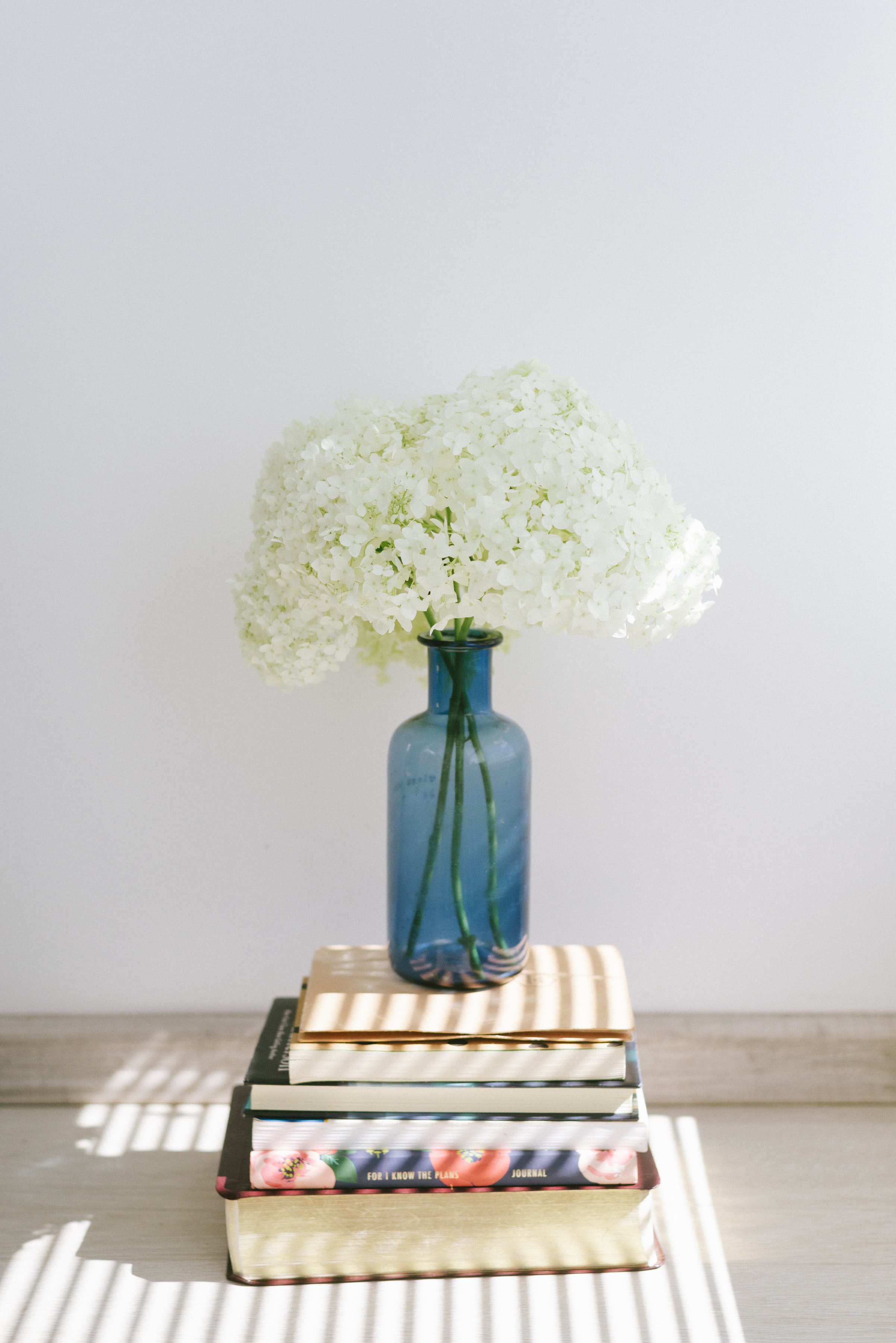 Free download wallpaper Flowers, Vase, Hydrangea, Books on your PC desktop