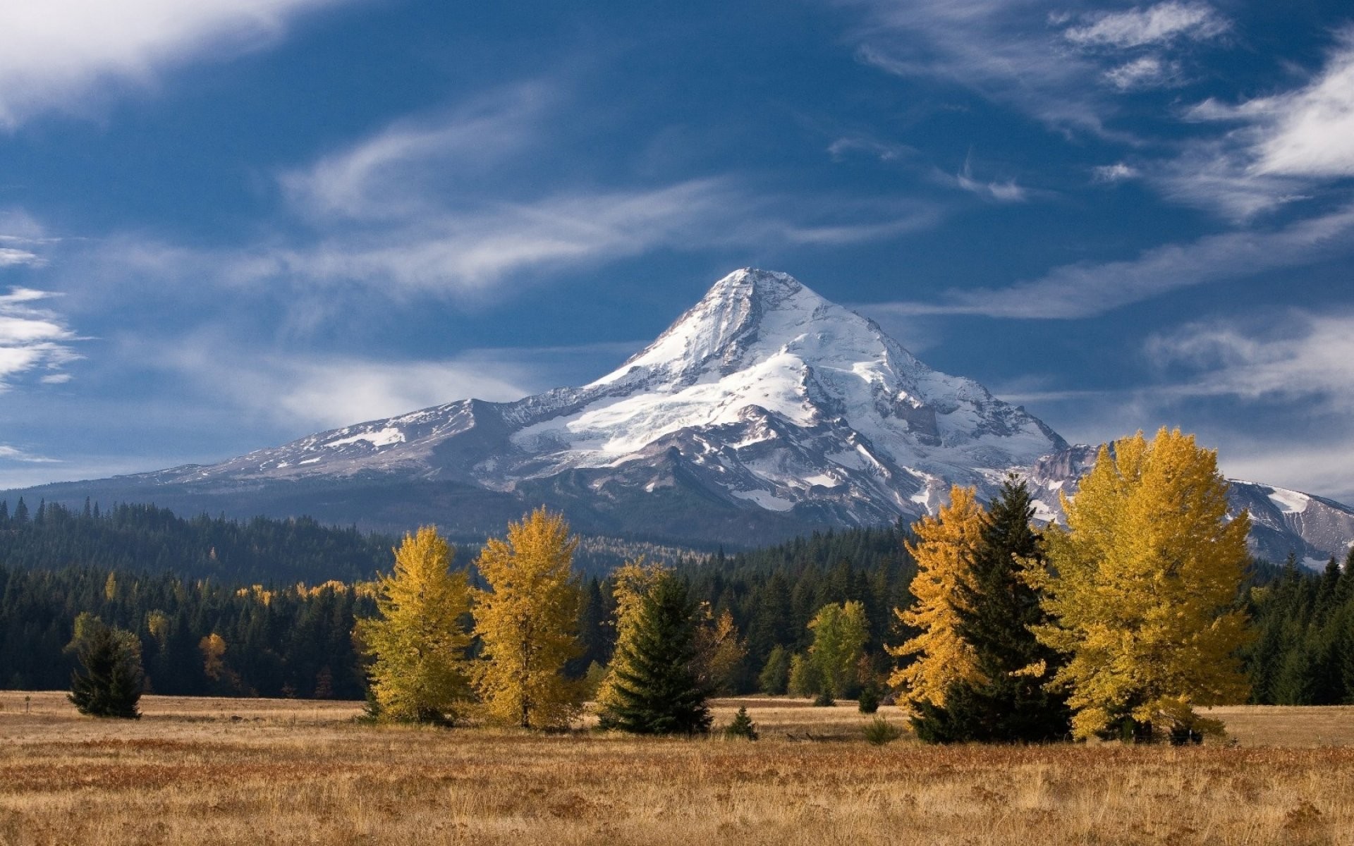 Téléchargez gratuitement l'image Paysage, Montagnes, Montagne, Forêt, Arbre, La Nature, Terre/nature sur le bureau de votre PC