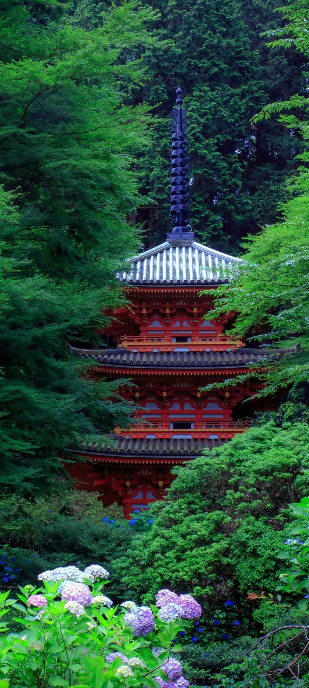 Descarga gratuita de fondo de pantalla para móvil de Pagoda, Jardín, Japón, Hortensia, Flor Purpura, Hecho Por El Hombre.