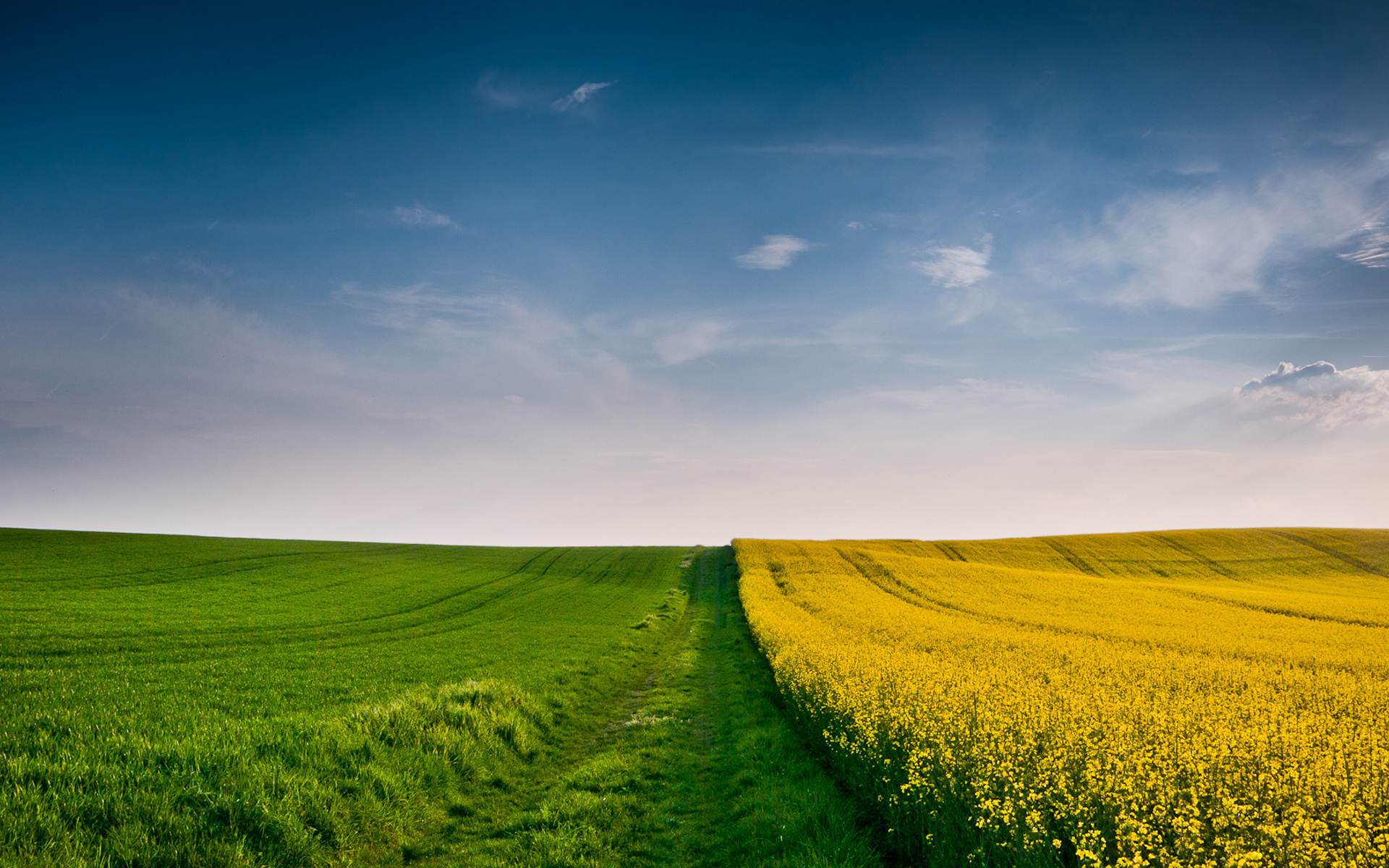 Laden Sie das Feld, Erde/natur-Bild kostenlos auf Ihren PC-Desktop herunter