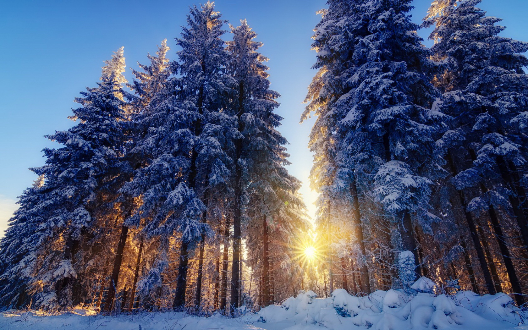 Laden Sie das Sonnenstrahl, Erde/natur-Bild kostenlos auf Ihren PC-Desktop herunter