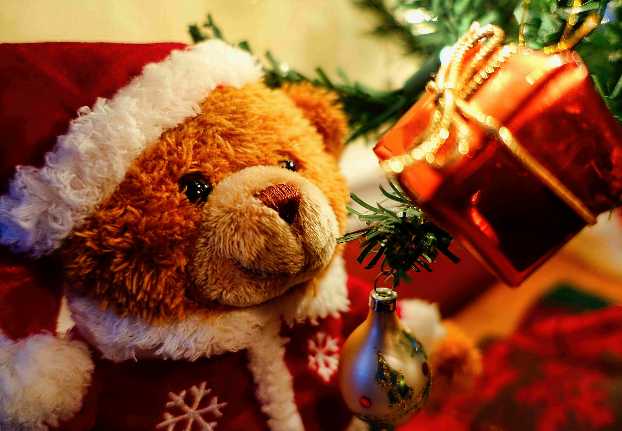 Скачать картинку Рождество, Плюшевый Мишка, Рождественские Украшения, Праздничные, Шляпа Санты в телефон бесплатно.