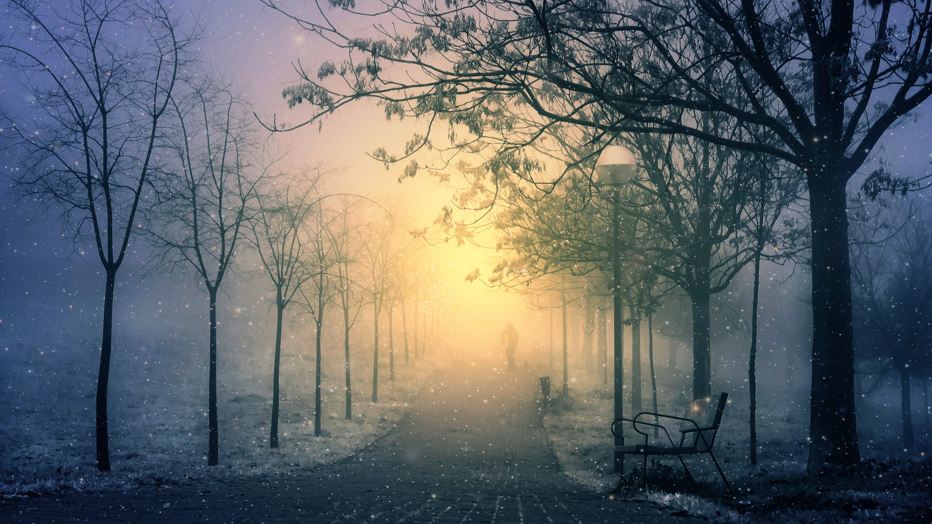 PCデスクトップに冬, 雪, 公園, 霧, 降雪, 夜, 写真撮影画像を無料でダウンロード