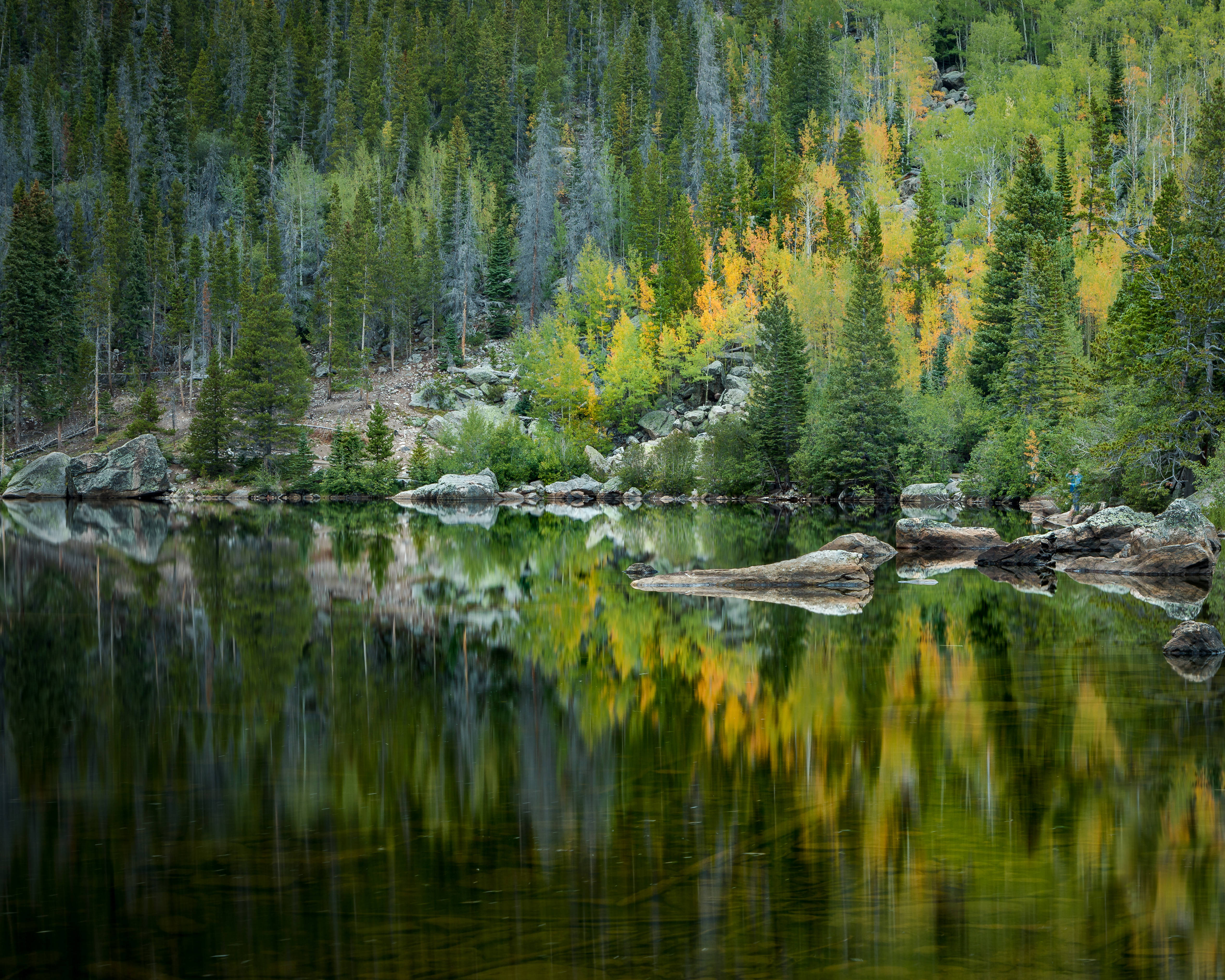 Download mobile wallpaper Trees, Reflection, Forest, Lake, Nature for free.