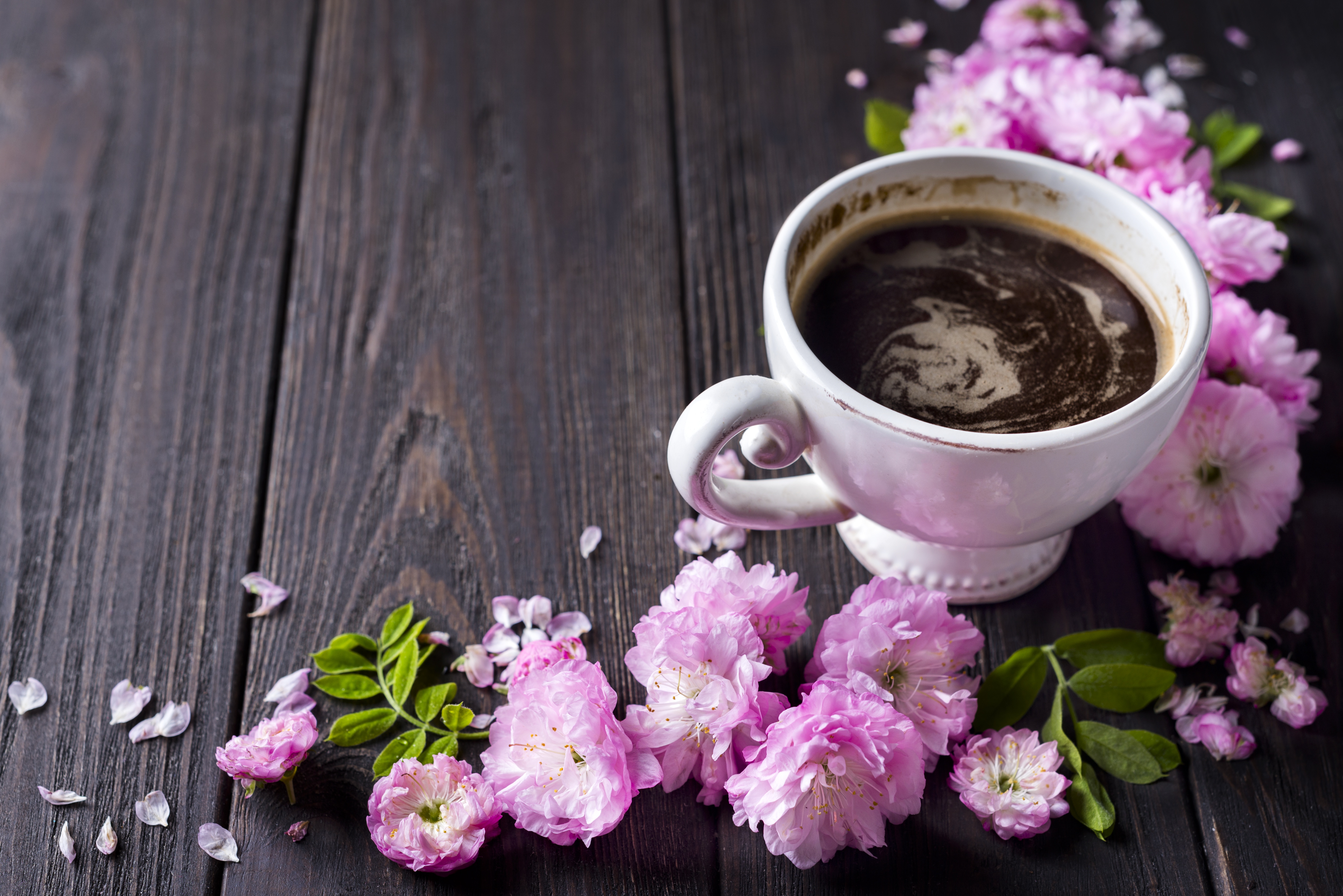 Download mobile wallpaper Food, Coffee, Flower, Cup, Drink, Pink Flower for free.