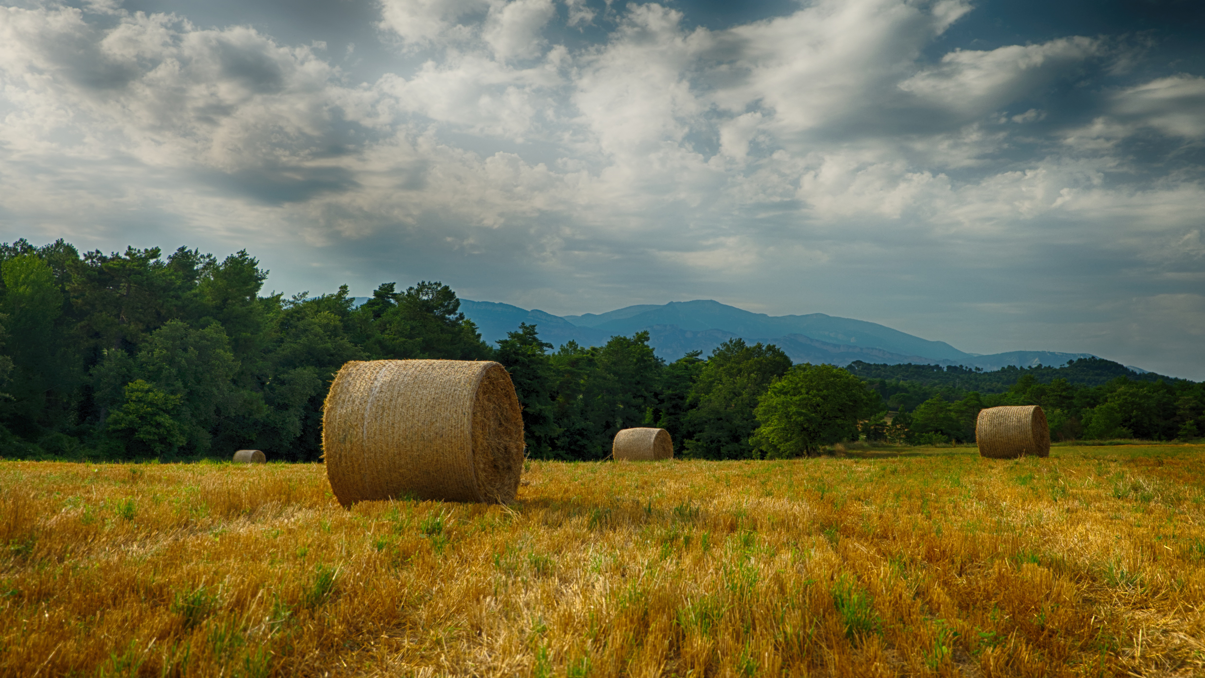 harvest, earth, haystack, field
