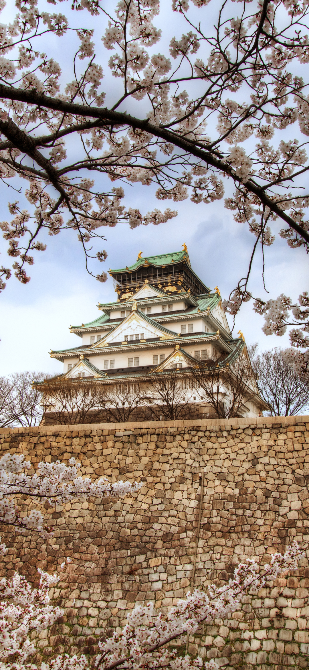 Baixar papel de parede para celular de Castelos, Sakura, Japão, Primavera, Flor De Cerejeira, Osaka, Feito Pelo Homem, Castelo De Osaka gratuito.