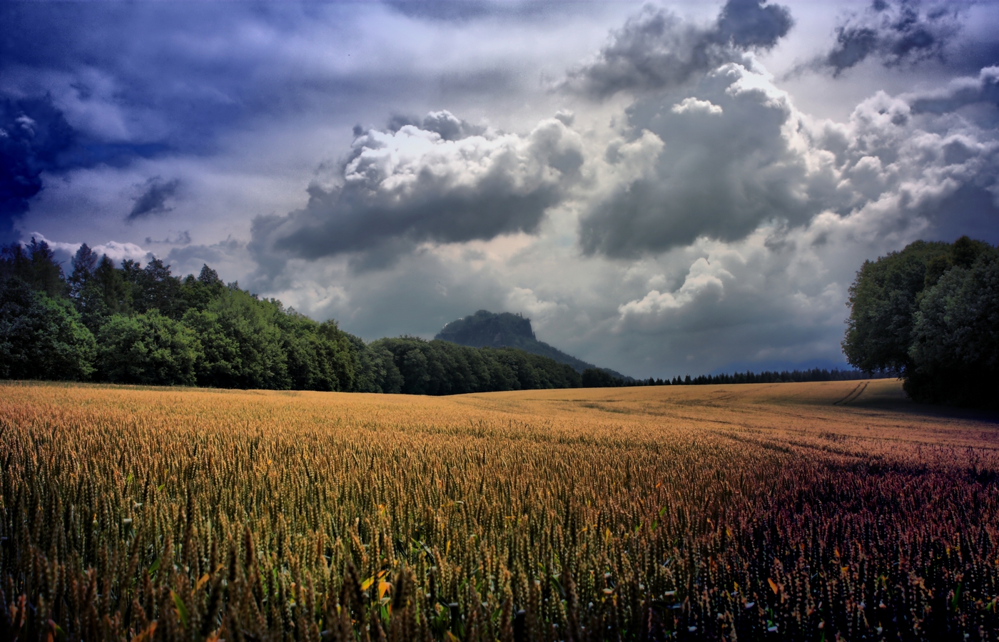 Handy-Wallpaper Feld, Erde/natur kostenlos herunterladen.