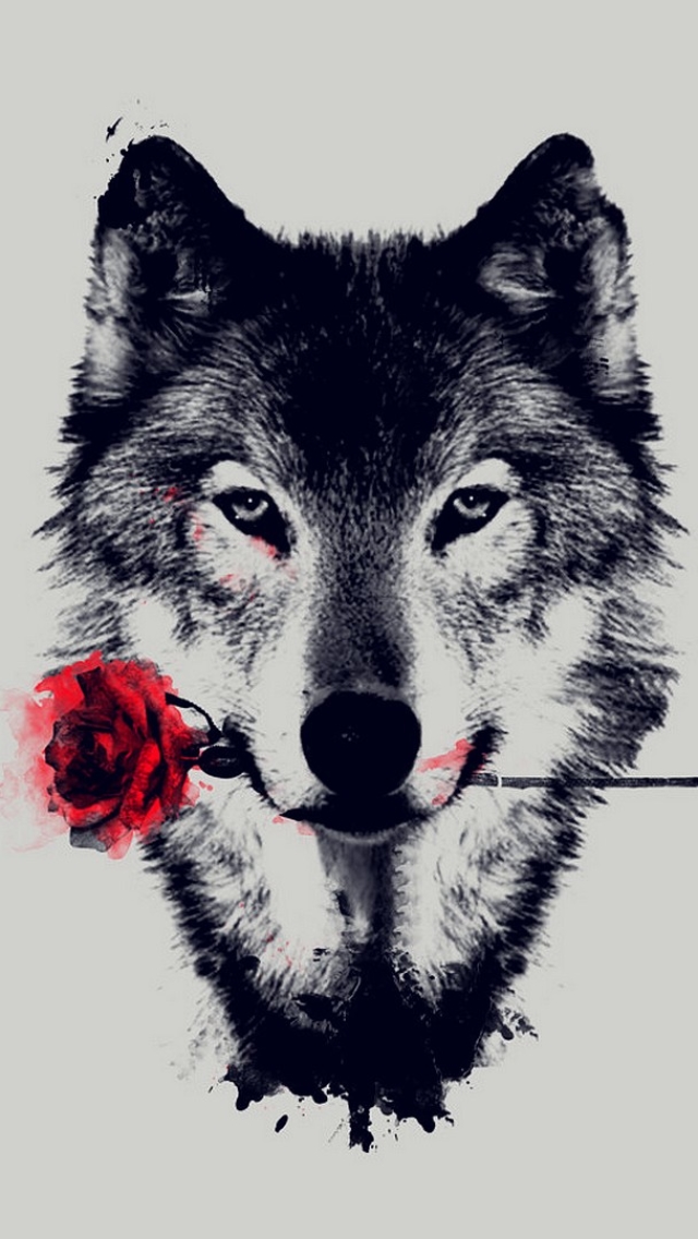 無料モバイル壁紙動物, オオカミ, 狼, 赤いバラをダウンロードします。