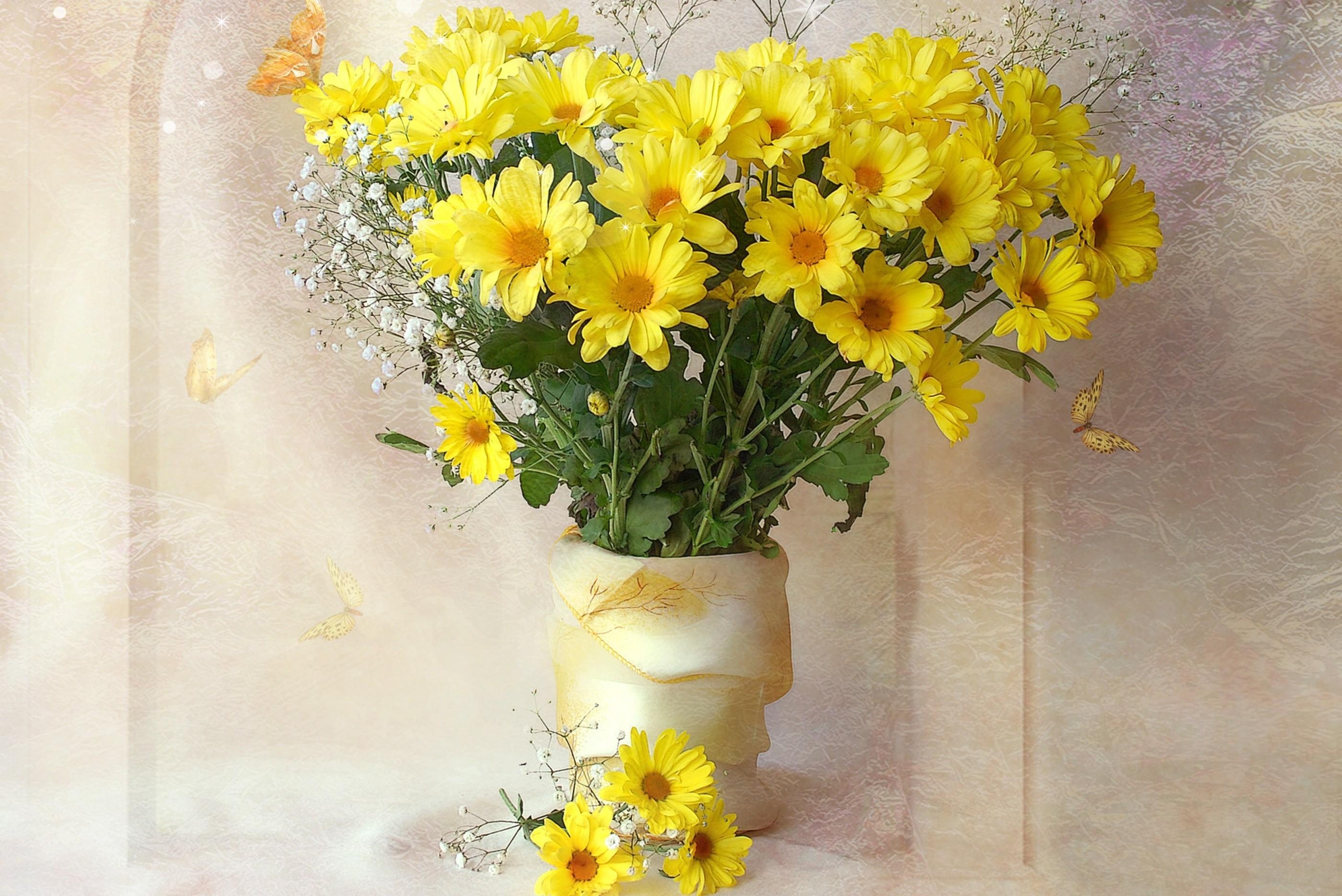 51494 скачать картинку хризантемы, ваза, гипсофил, букет, цветы, желтые - обои и заставки бесплатно