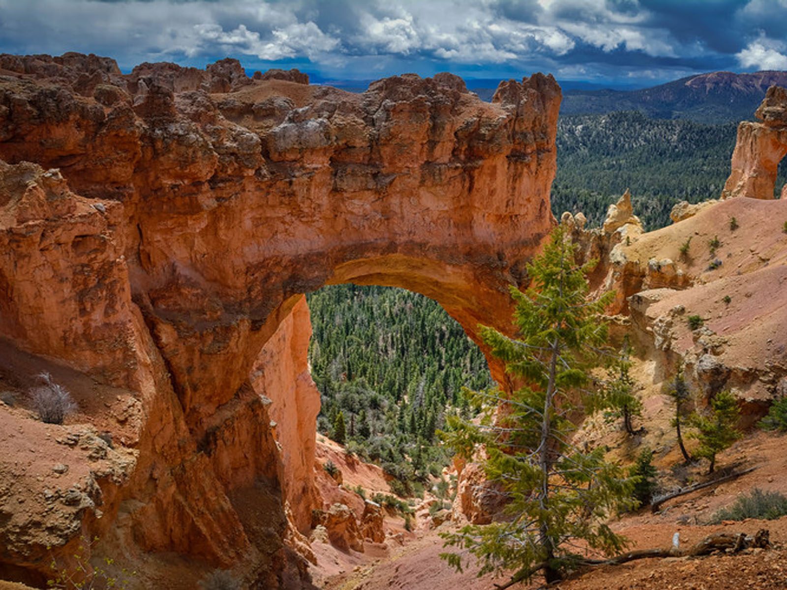 Download mobile wallpaper Earth, Arch, Bryce Canyon National Park for free.