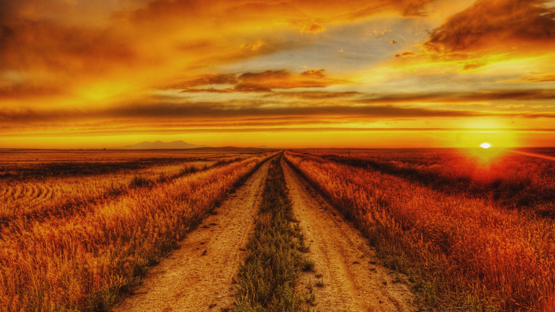Download mobile wallpaper Sunset, Grass, Sky, Sun, Wheat, Horizon, Earth, Field, Path, Orange (Color) for free.