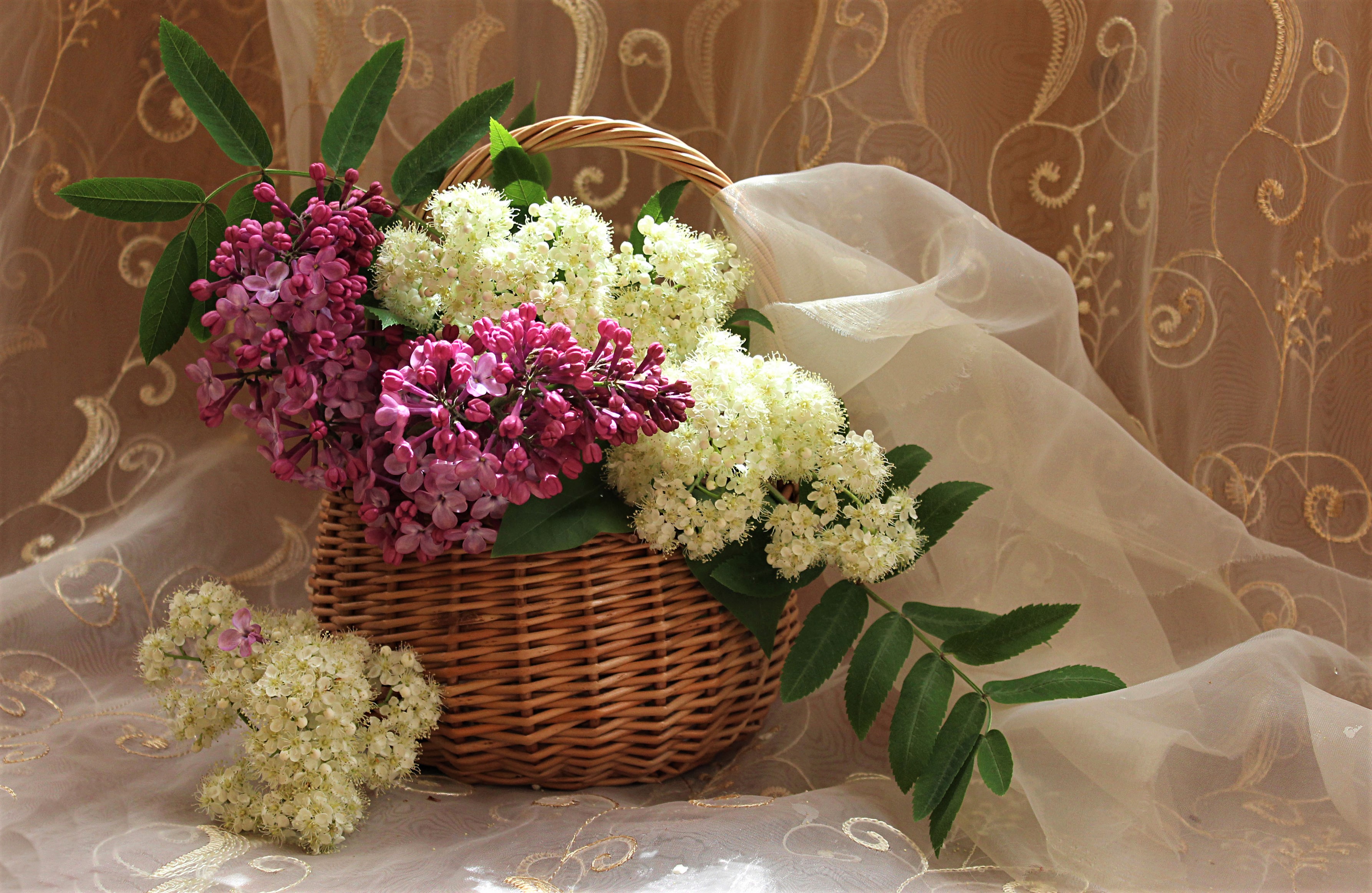 Download mobile wallpaper Lilac, Still Life, Leaf, Basket, Curtain, Photography, White Flower, Pink Flower for free.