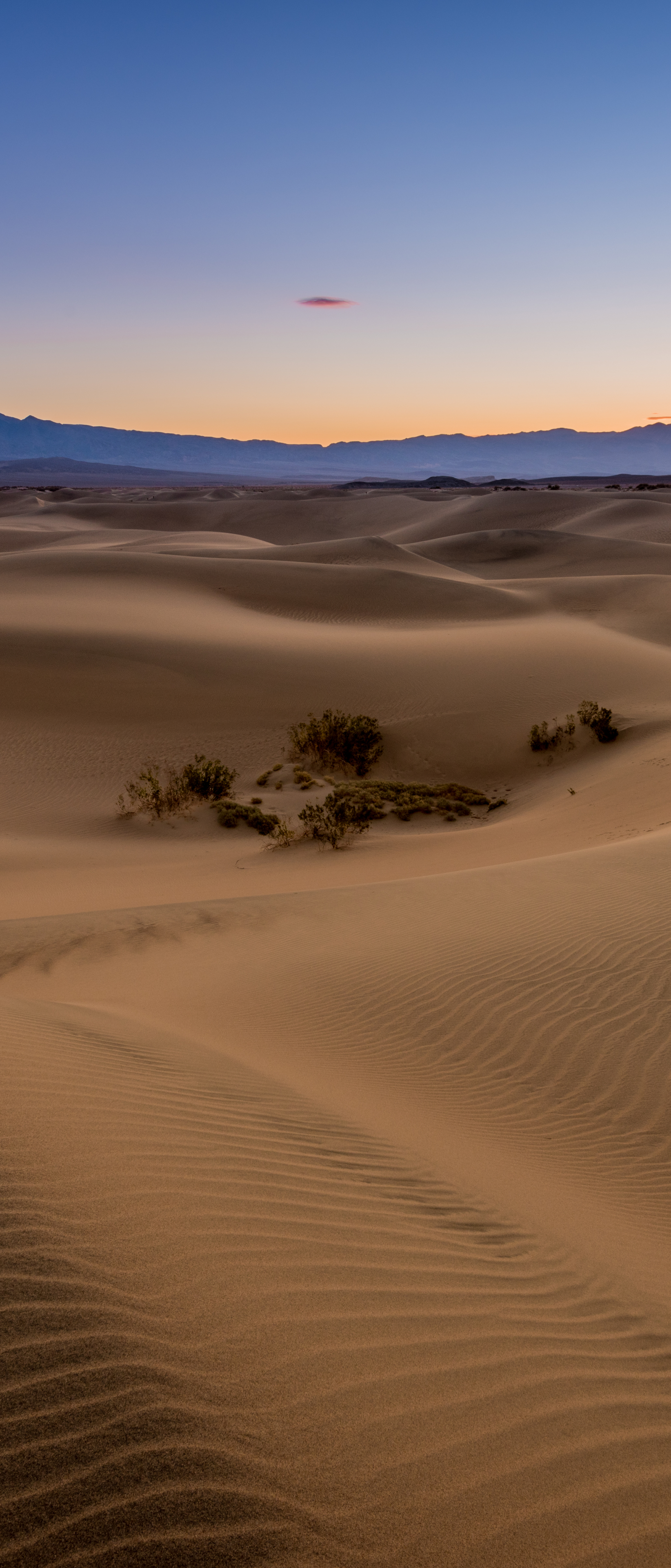 Скачать картинку Пустыня, Дюна, Калифорния, Земля/природа, Долина Смерти в телефон бесплатно.