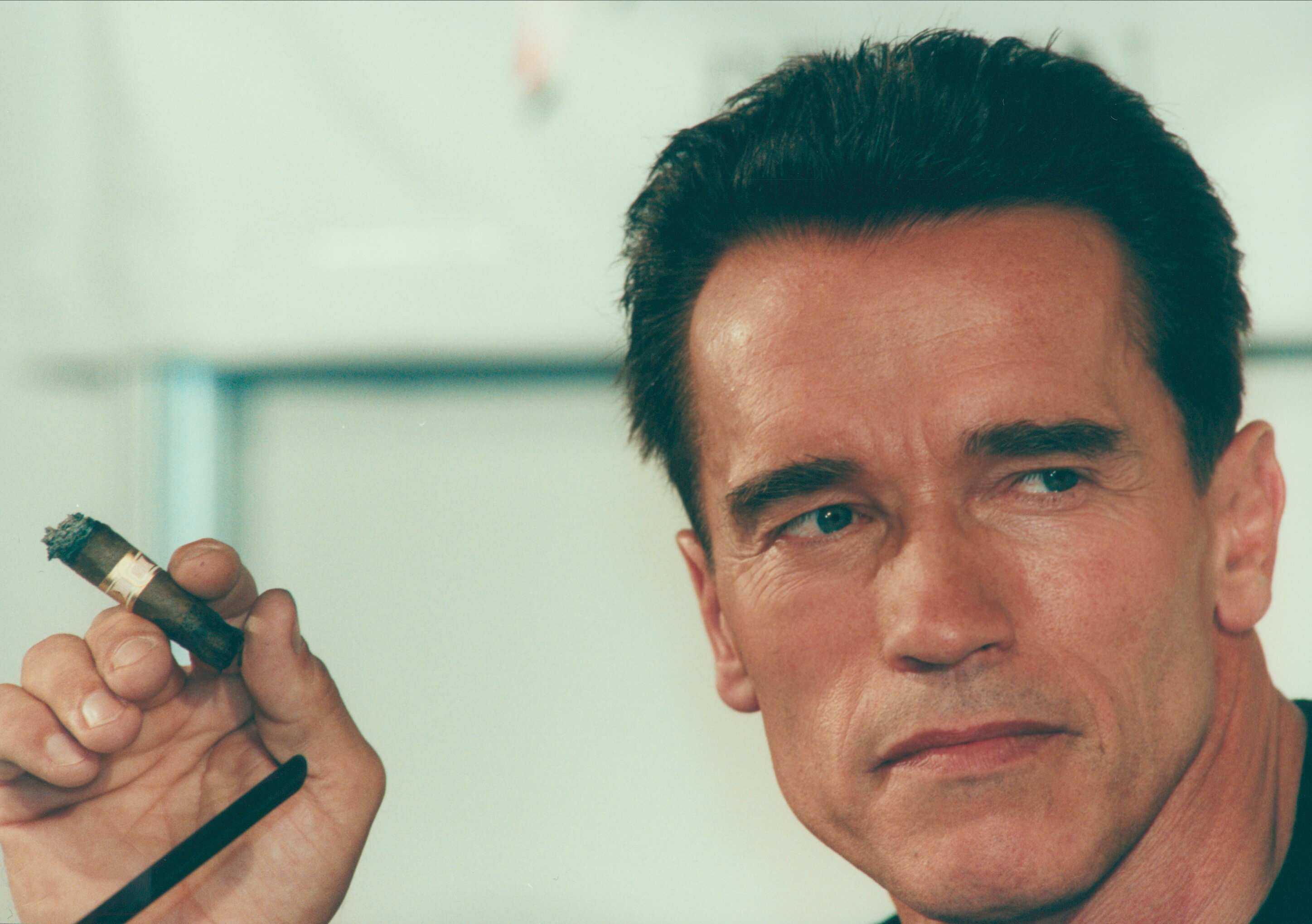 Laden Sie das Arnold Schwarzenegger, Berühmtheiten-Bild kostenlos auf Ihren PC-Desktop herunter