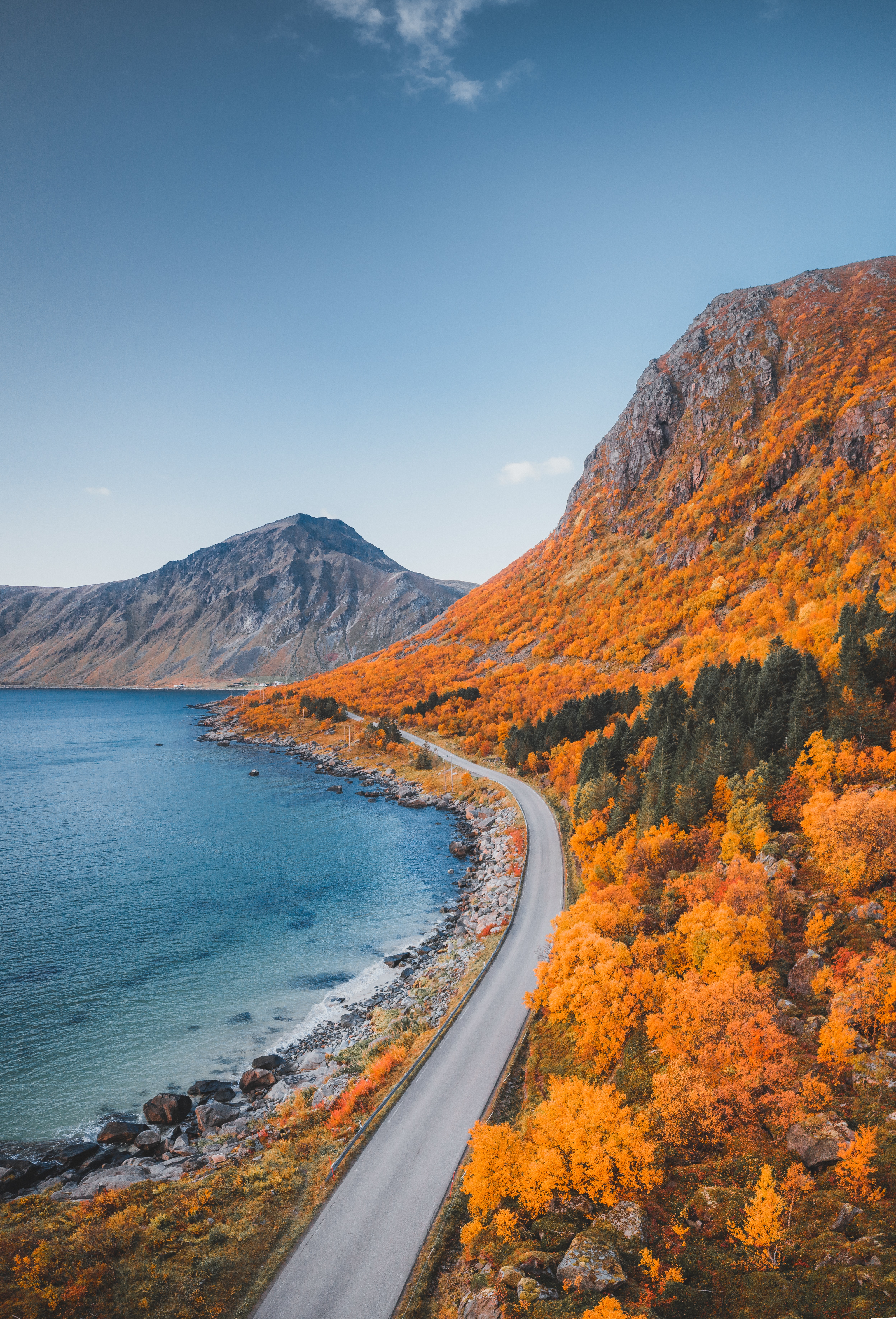 nature, autumn, mountains, coast, road Smartphone Background