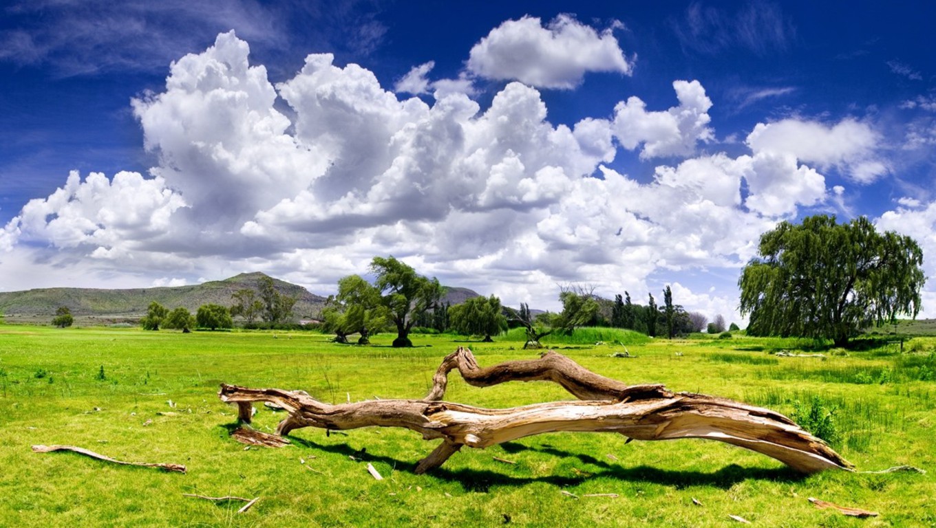 Laden Sie das Feld, Wolke, Erde/natur-Bild kostenlos auf Ihren PC-Desktop herunter