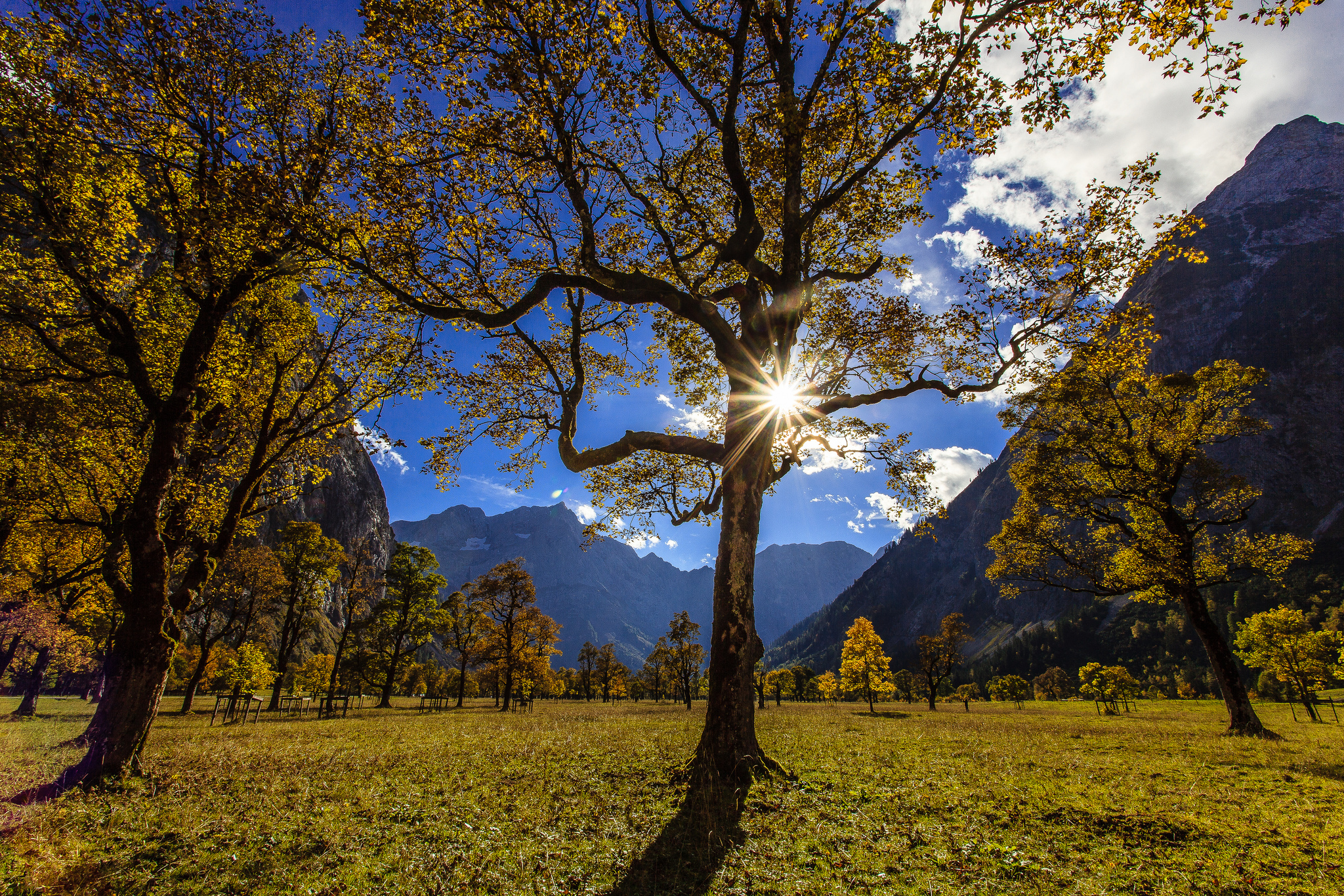 Скачать картинку Облака, Гора, Дерево, Австрия, Долина, Солнечный Луч, Земля/природа в телефон бесплатно.
