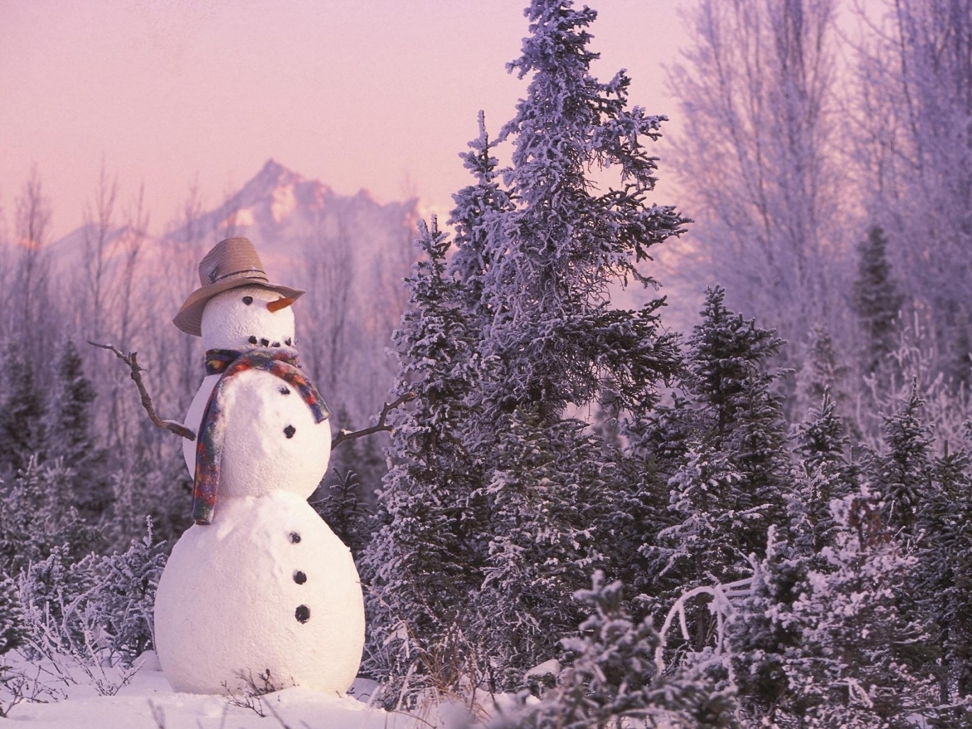 PCデスクトップに自然, 風景, 雪だるま画像を無料でダウンロード