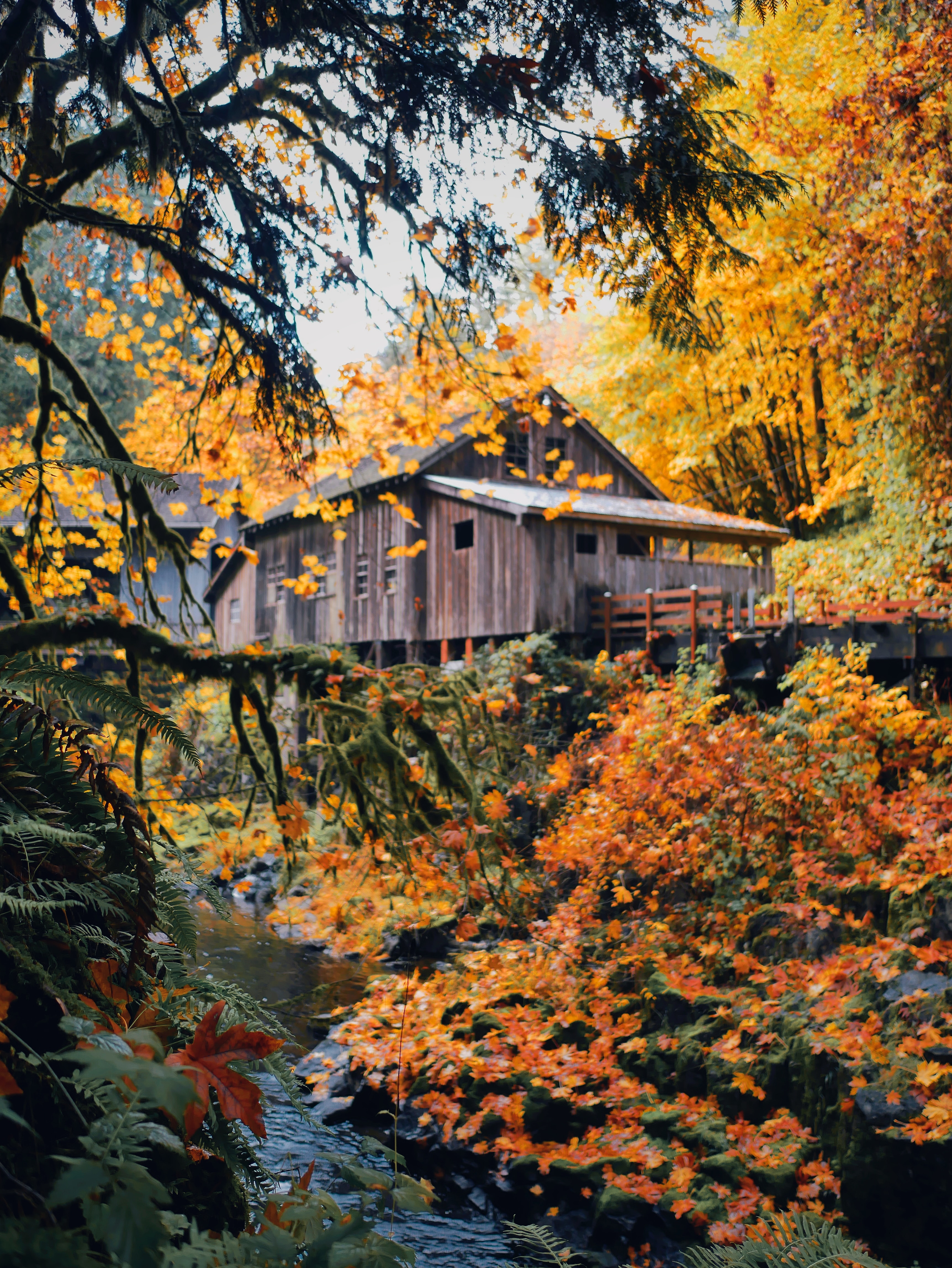 Handy-Wallpaper Natur, Holz, Haus, Herbst kostenlos herunterladen.
