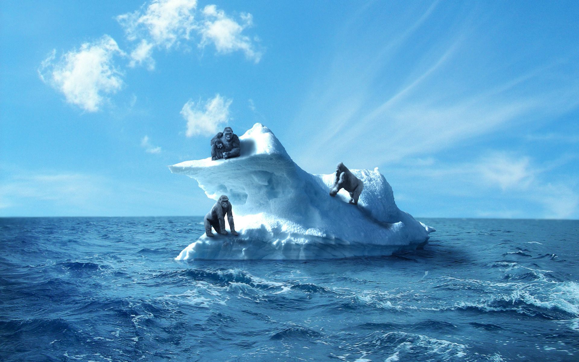 Free download wallpaper Sky, Animals, Sea, Gorilla, Iceberg on your PC desktop