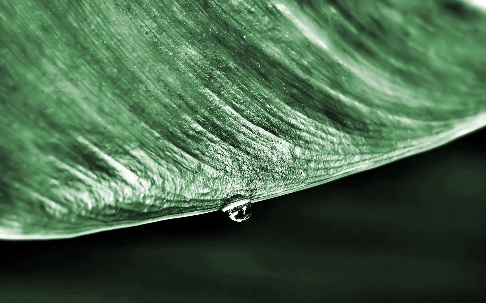 Download mobile wallpaper Macro, Grass, Drop, Dew, Surface for free.