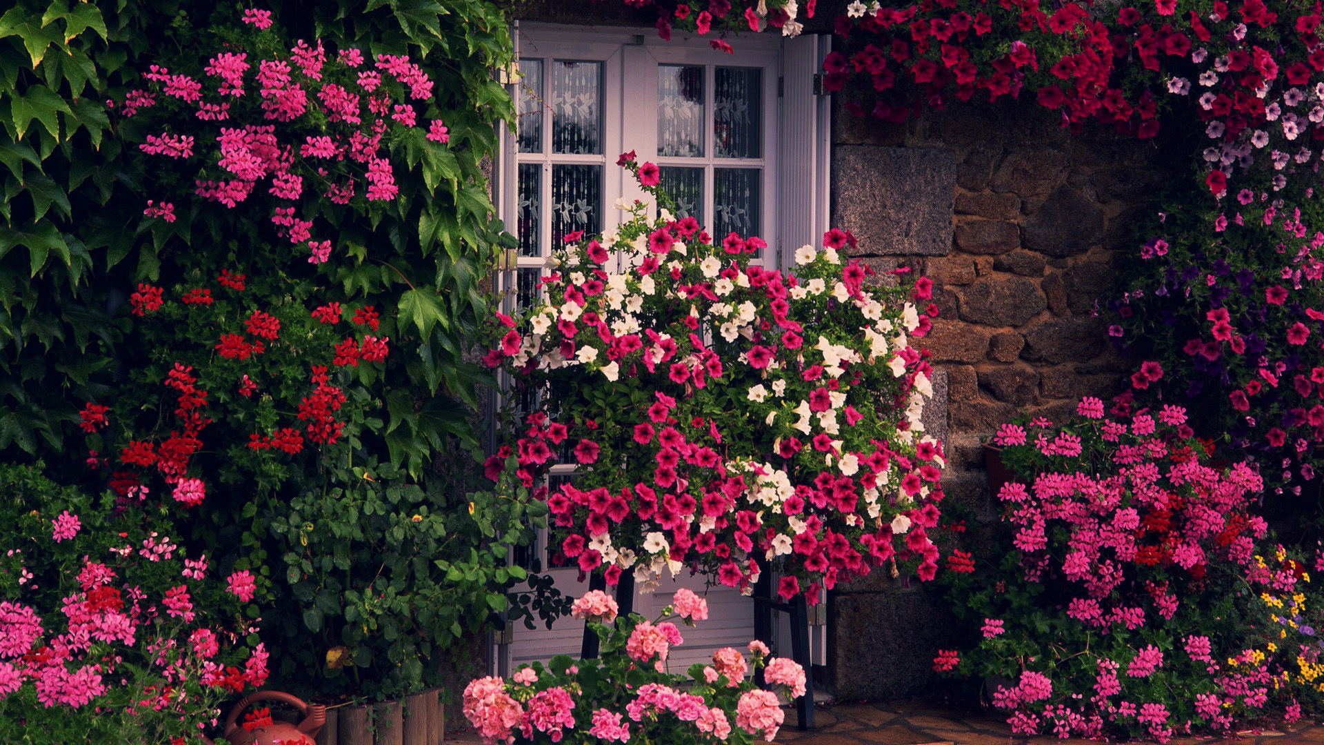 Descarga gratis la imagen Flor, Francia, Jardín, Hecho Por El Hombre en el escritorio de tu PC