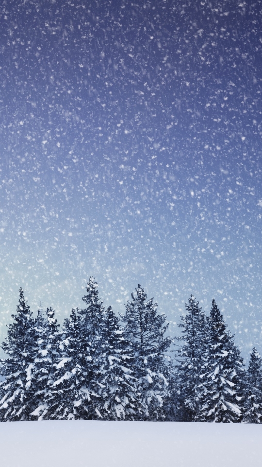 Download mobile wallpaper Winter, Nature, Snow, Tree, Earth, Snowfall for free.