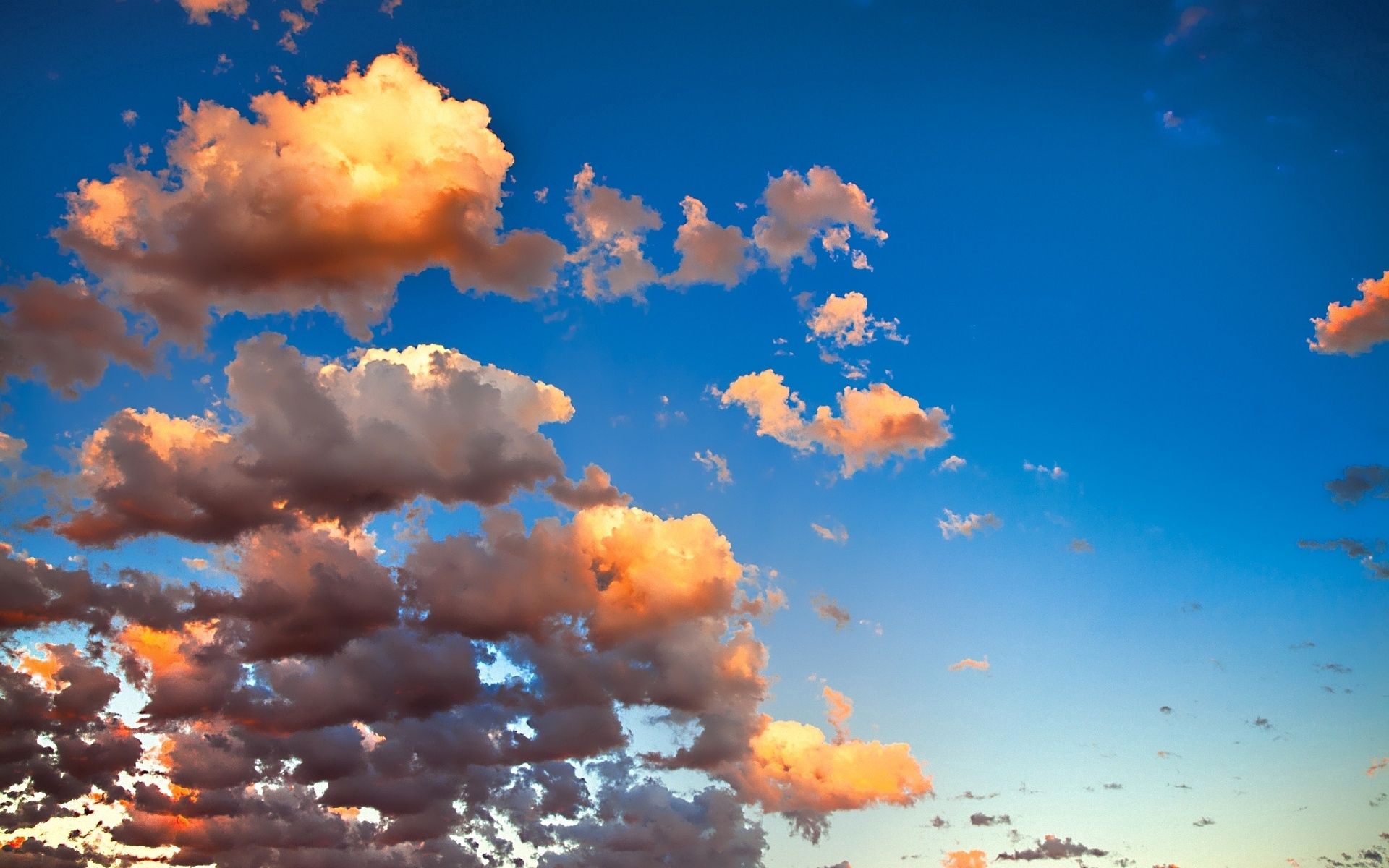 79825 скачать картинку золотые, природа, небо, облака, оттенки, воздушные, легкость - обои и заставки бесплатно
