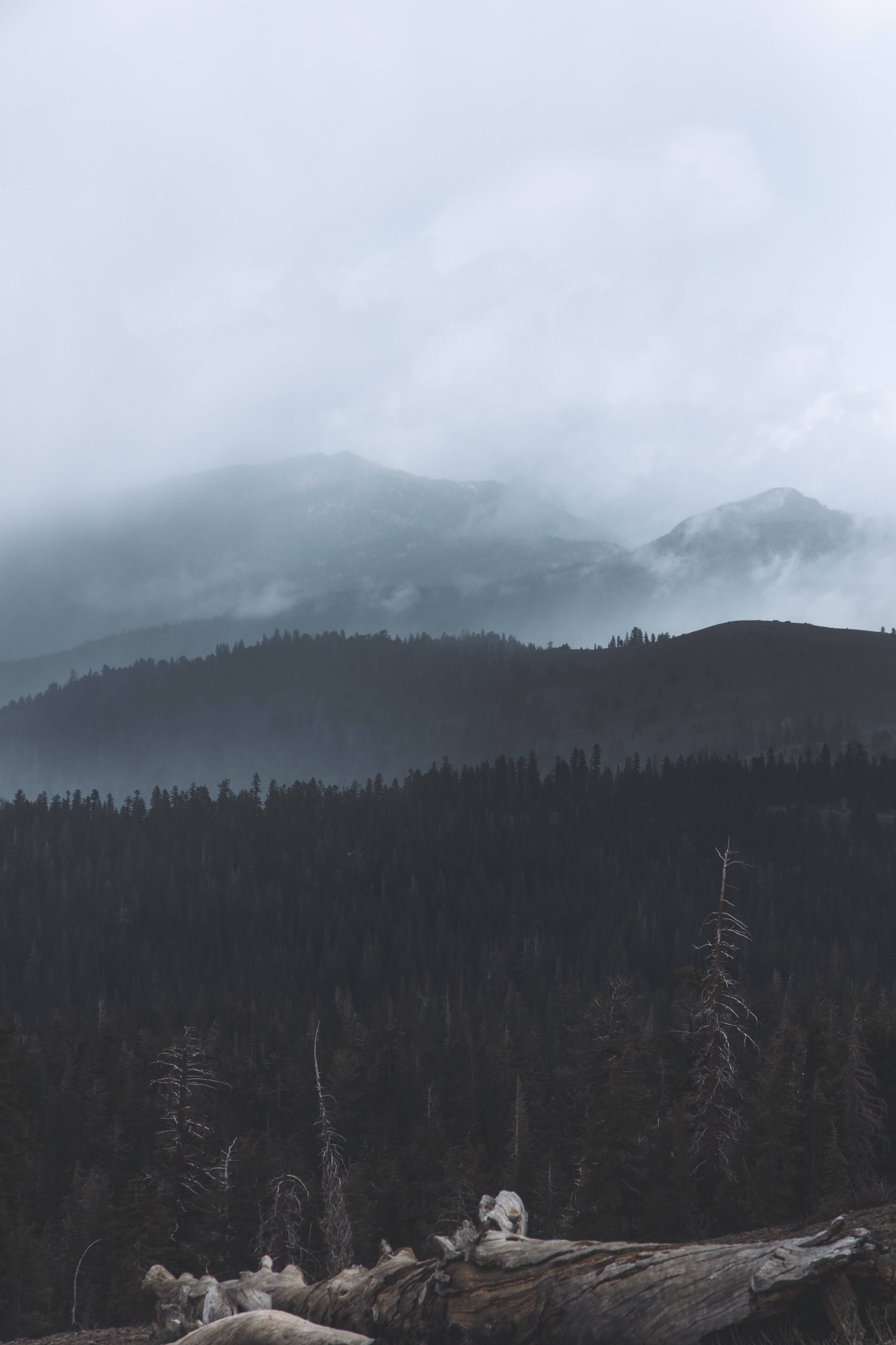 108867 скачать обои мрак, туман, природа, деревья, лес, холмы - заставки и картинки бесплатно