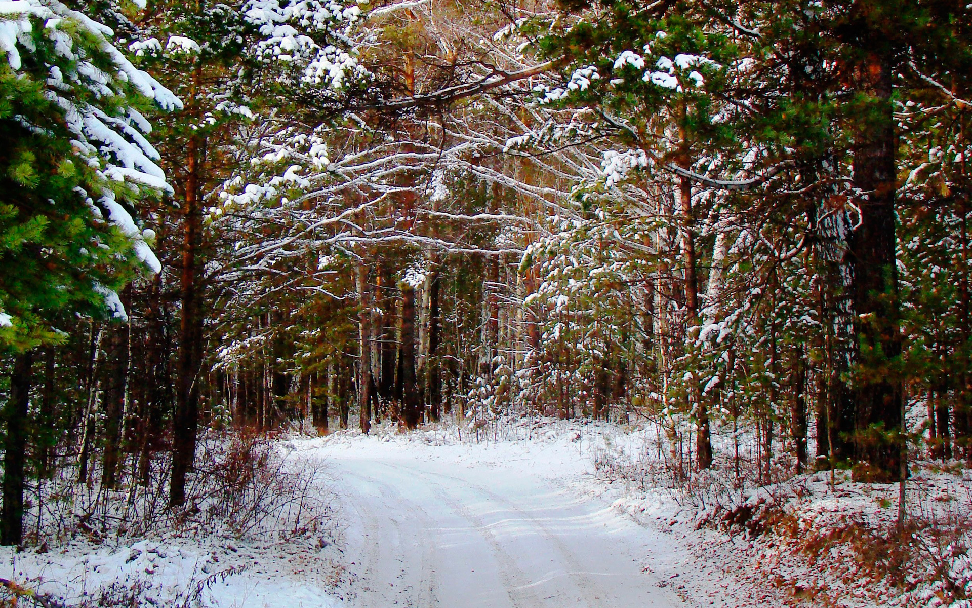 PCデスクトップに風景, 冬, 木, 道路, 雪画像を無料でダウンロード