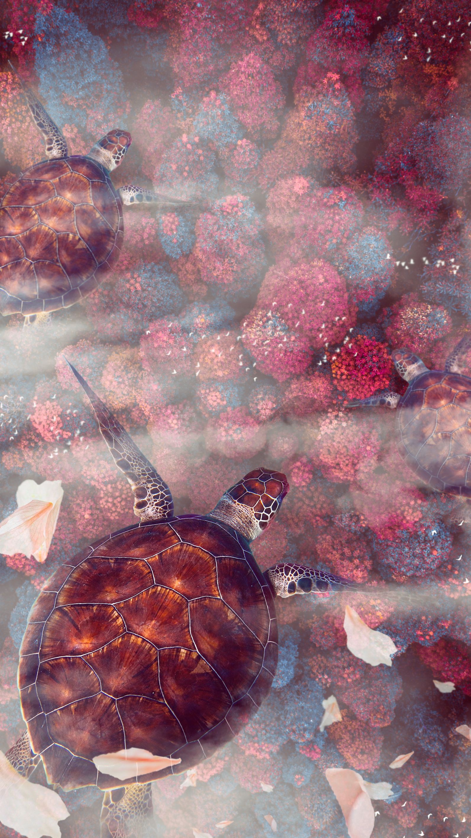 151119 скачать обои черепаха, подводный мир, черепахи, морская черепах, животные, дикая природа - заставки и картинки бесплатно