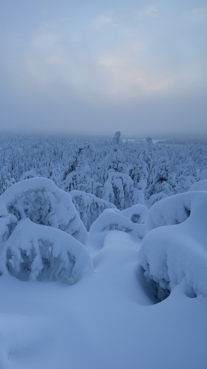 Descarga gratuita de fondo de pantalla para móvil de Invierno, Naturaleza, Nieve, Tierra/naturaleza.