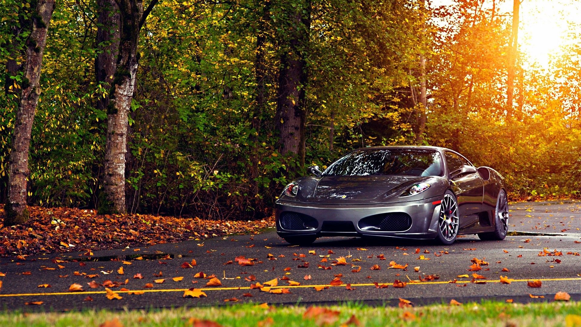 Download mobile wallpaper Ferrari F430 Scuderia, Trees, Cars, Leaves, Autumn, Ferrari for free.