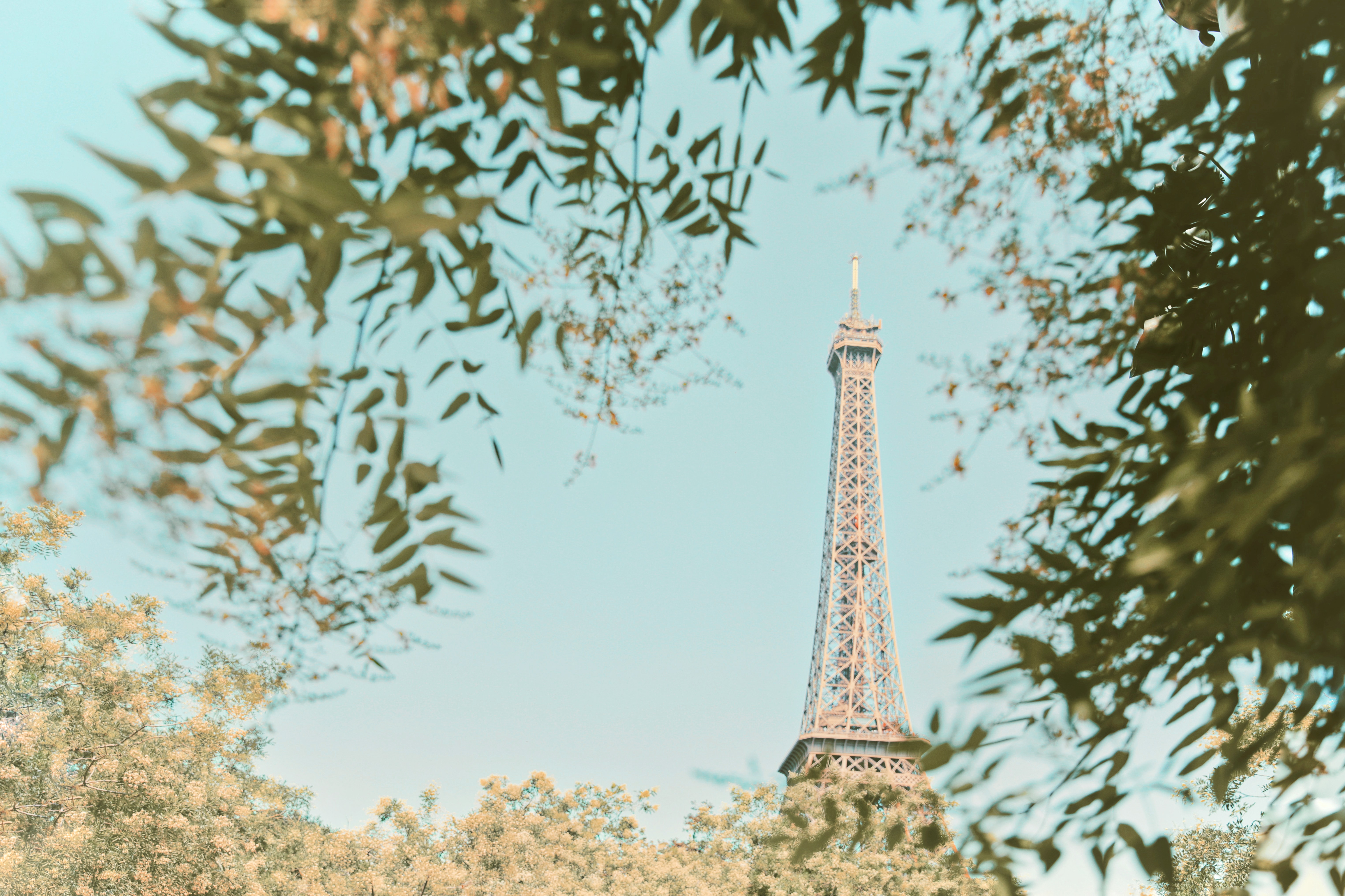 Скачать обои бесплатно Ветки, Башня, Города, Деревья, Здание, Эйфелева Башня, Париж картинка на рабочий стол ПК