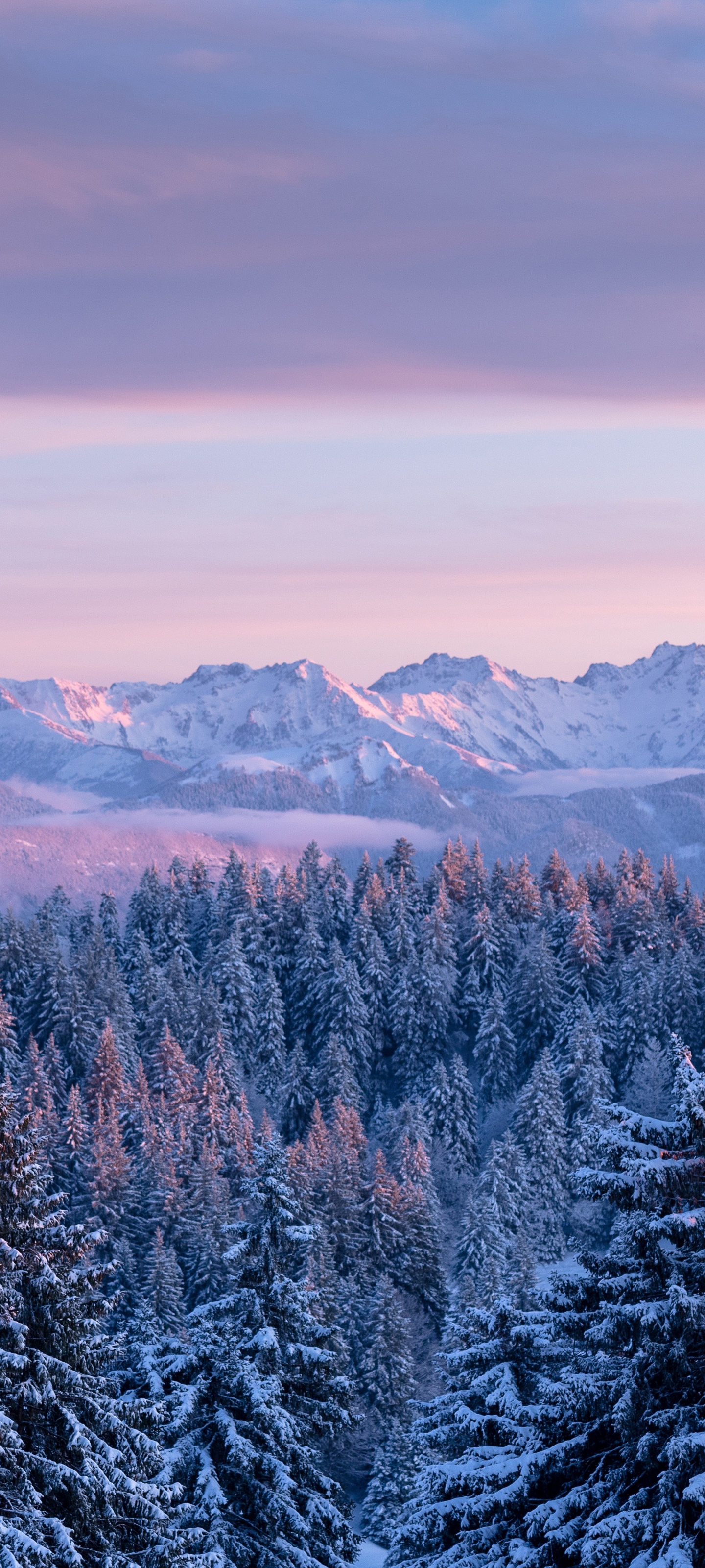 Скачать картинку Зима, Гора, Лес, Ель, Франция, Земля/природа в телефон бесплатно.