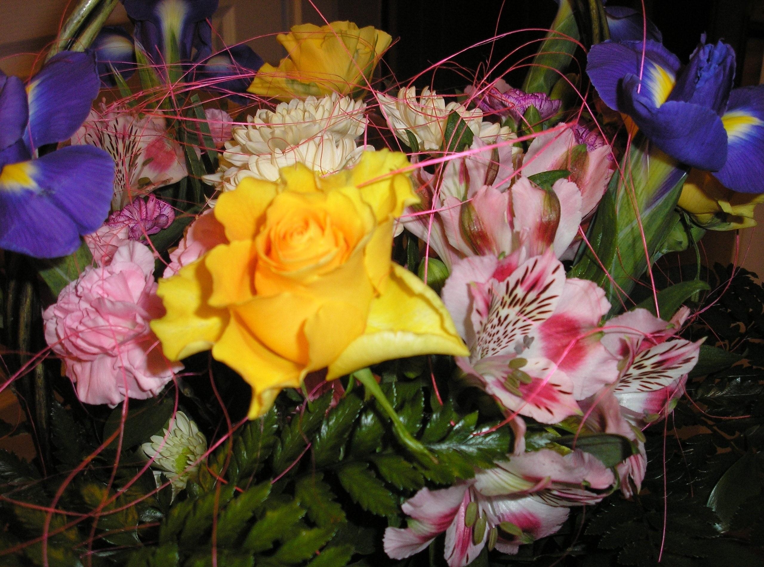 flowers, roses, leaves, registration, typography, close up, alstroemeria, bouquet, irises