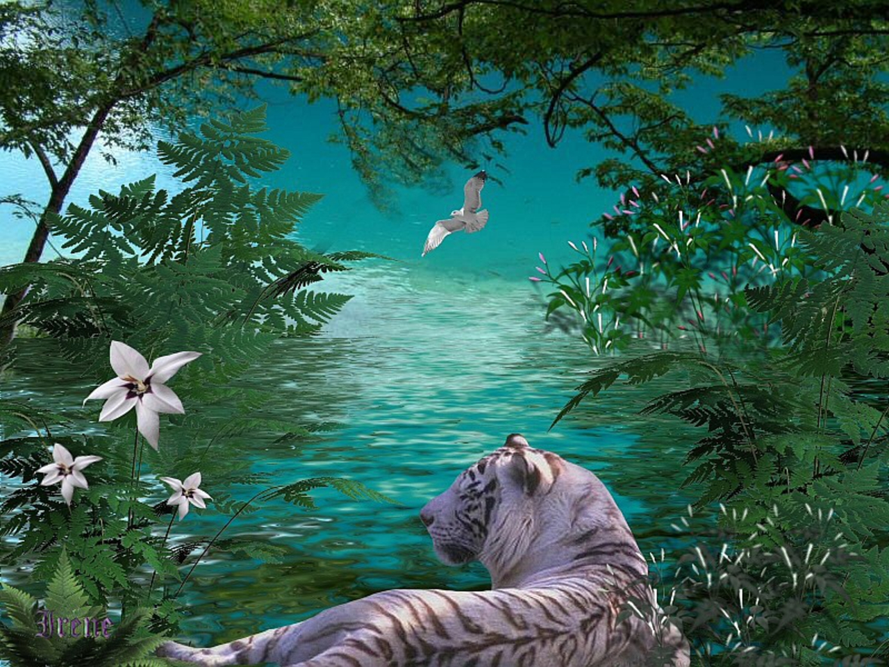 Скачать обои бесплатно Животные, Тигр, Белый Тигр картинка на рабочий стол ПК