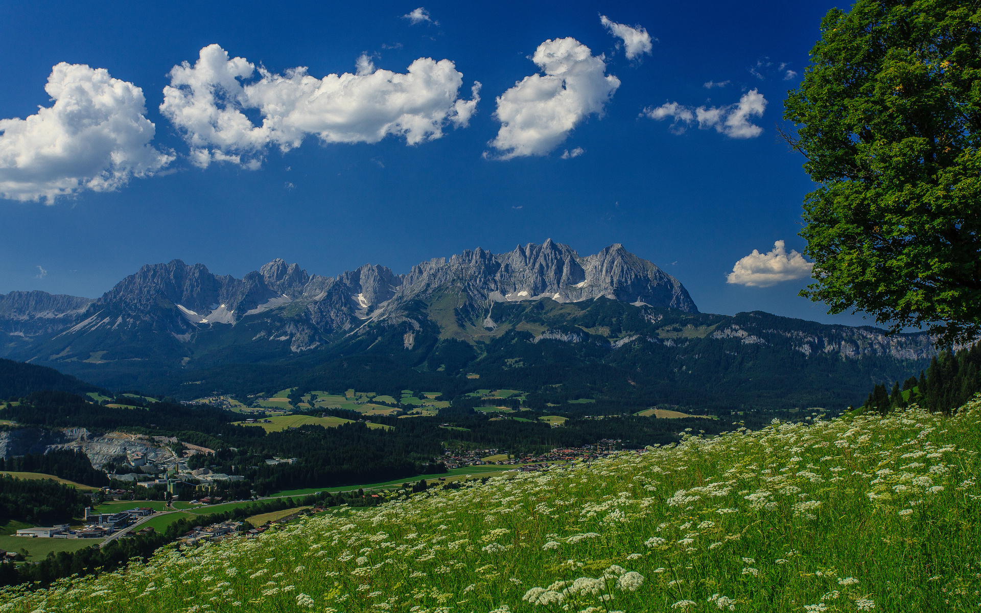 Скачать картинку Уайлдер Кайзер, Альпы, Панорама, Луга, Австрия, Горы, Дерево, Гора, Земля/природа в телефон бесплатно.